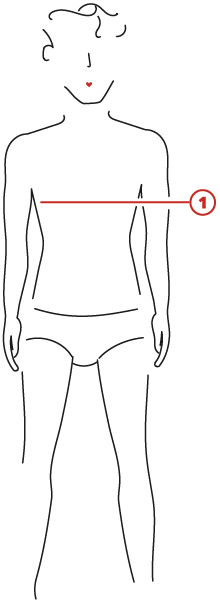 Illustration of a man with various measurement points