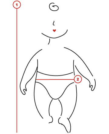 Illustration of a baby with various measurement points