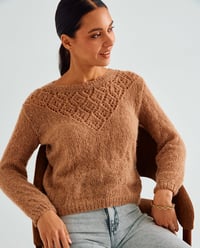 Modèle Pull Femme Violette