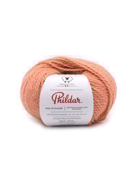 Phil Ecolaine_review