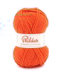 Phil Partner 3.5_review