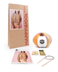 Kit Tricot Pull Femme Pingouin - Laine Gaby, Niveau Intermédiaire, Inclus Pelotes, Explications Et Accessoires - Idéal Pour Débuter