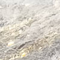 Variant thumbnail