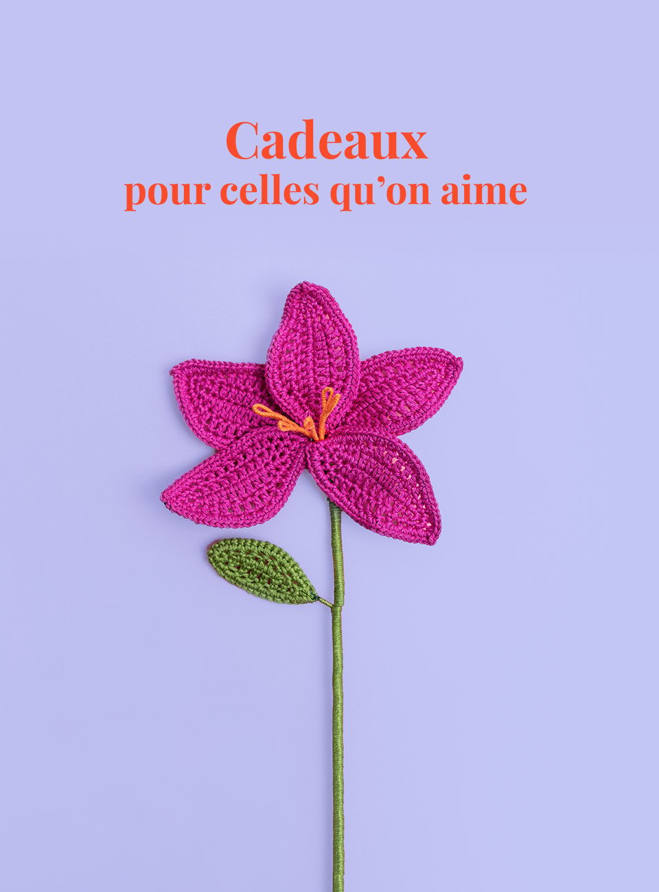 HB MARQUE FDM GENERIQUE