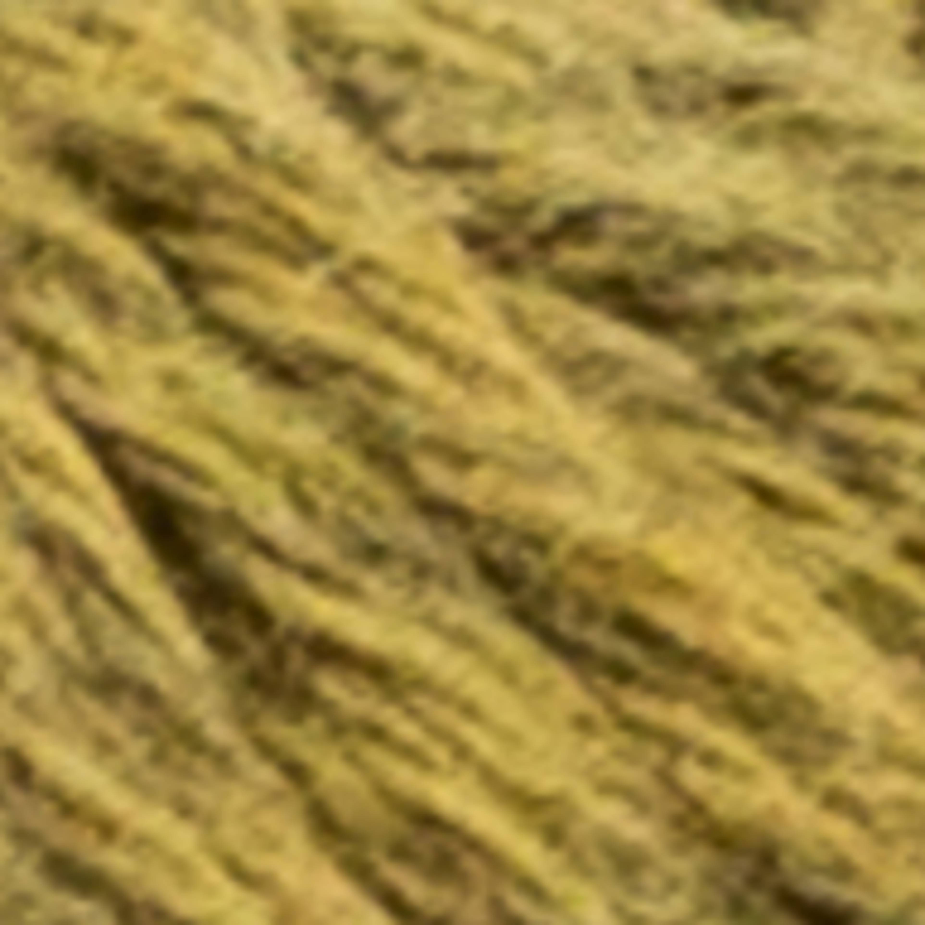 Variant thumbnail