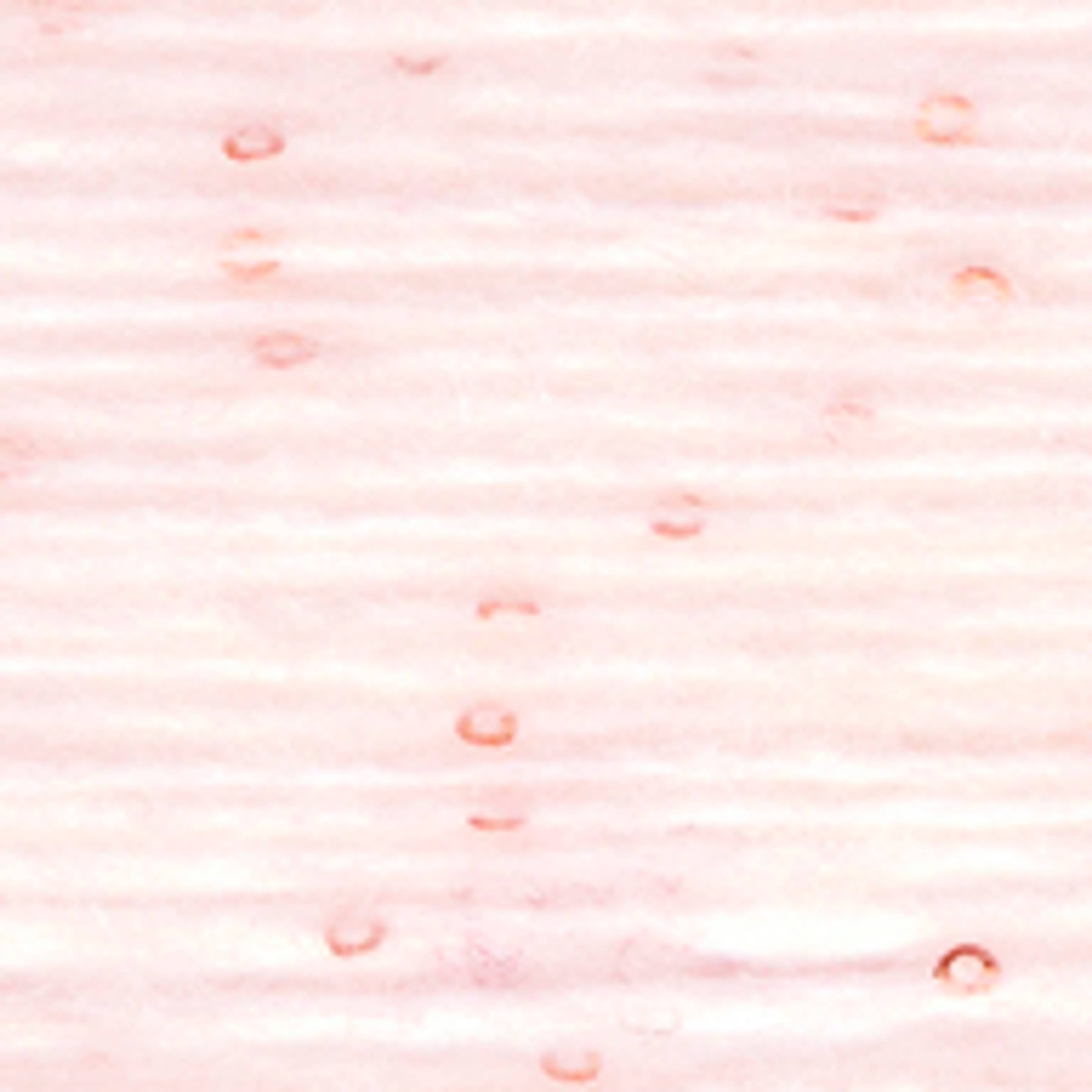 Variant thumbnail