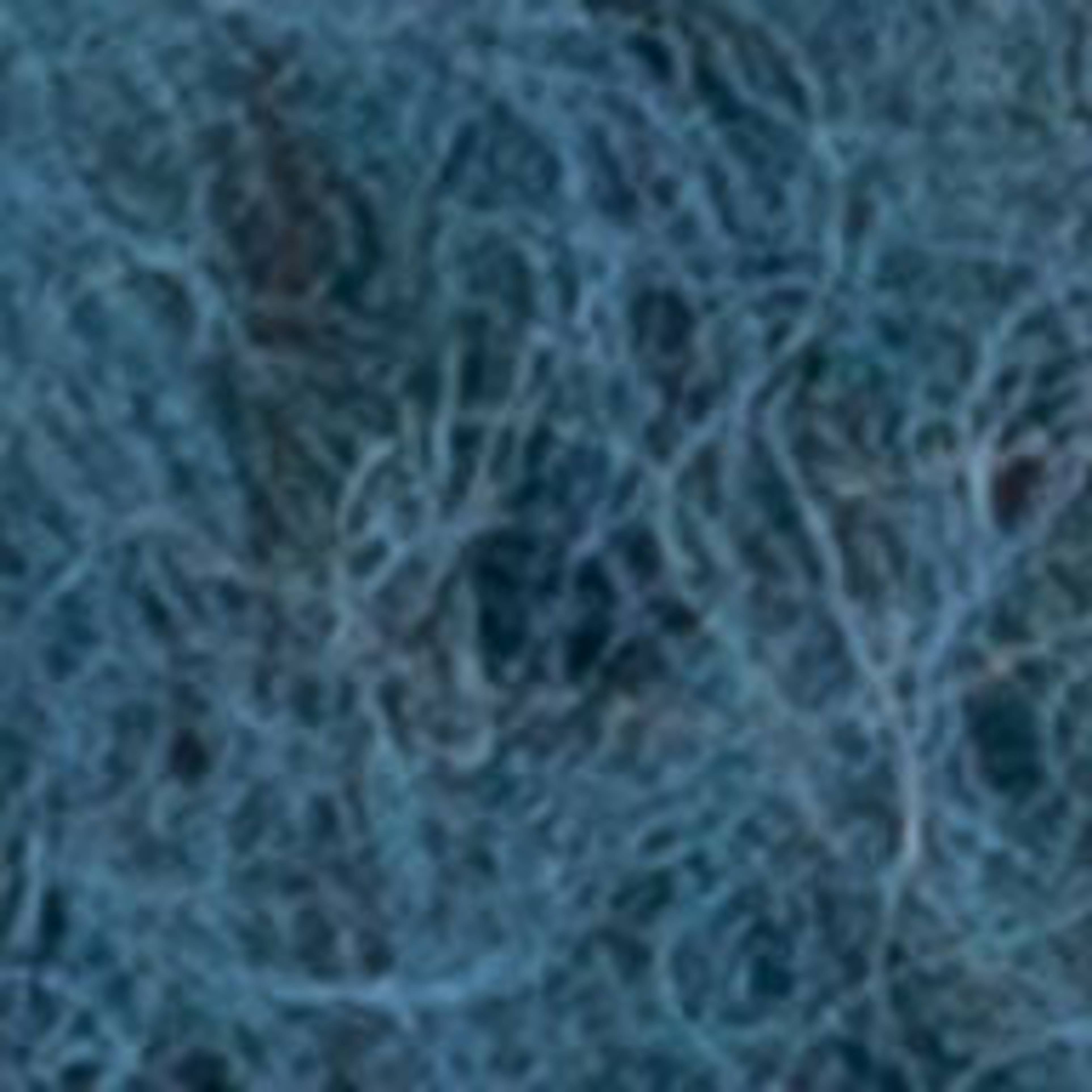 Variant thumbnail