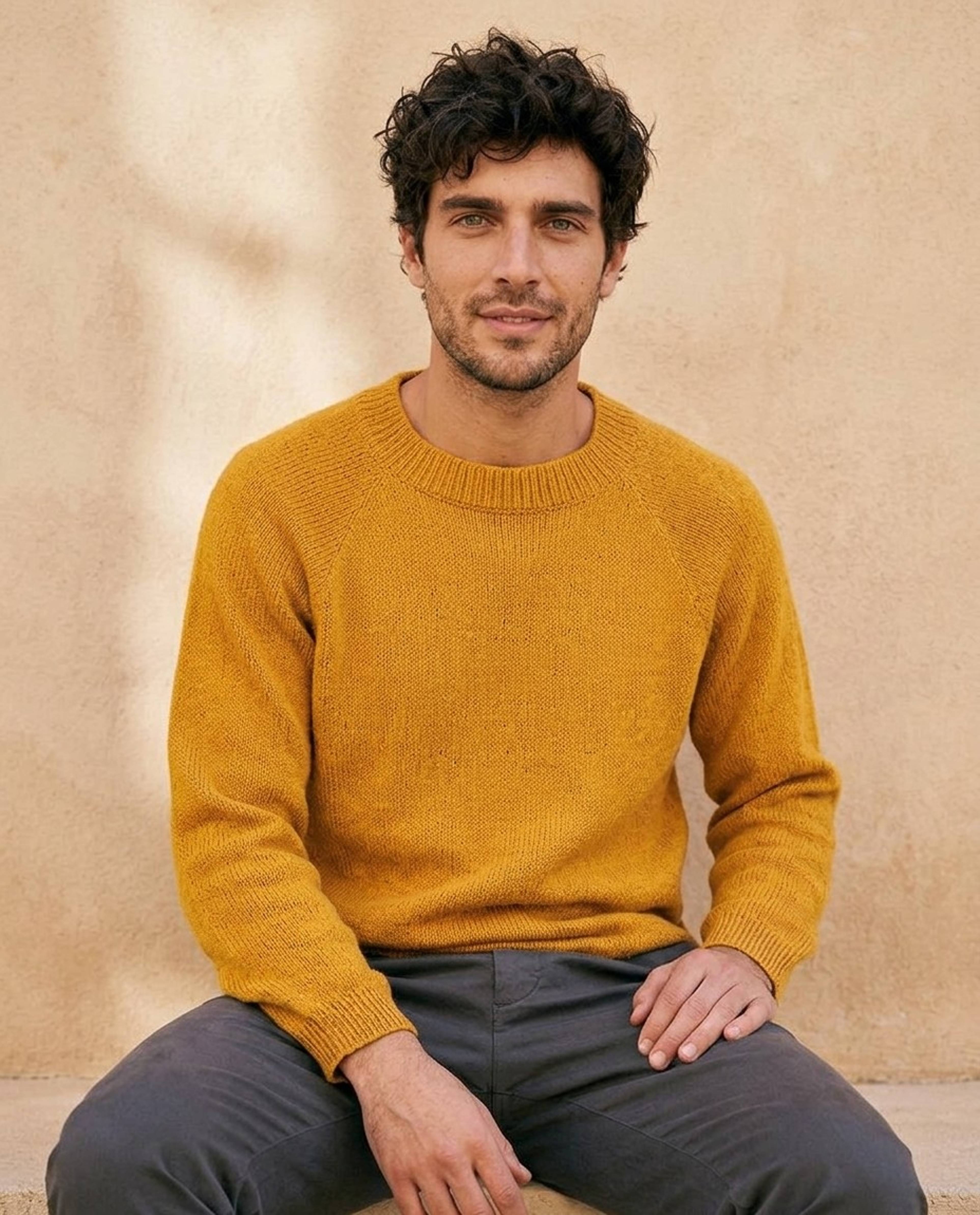 Modèle Pull Homme Germain
