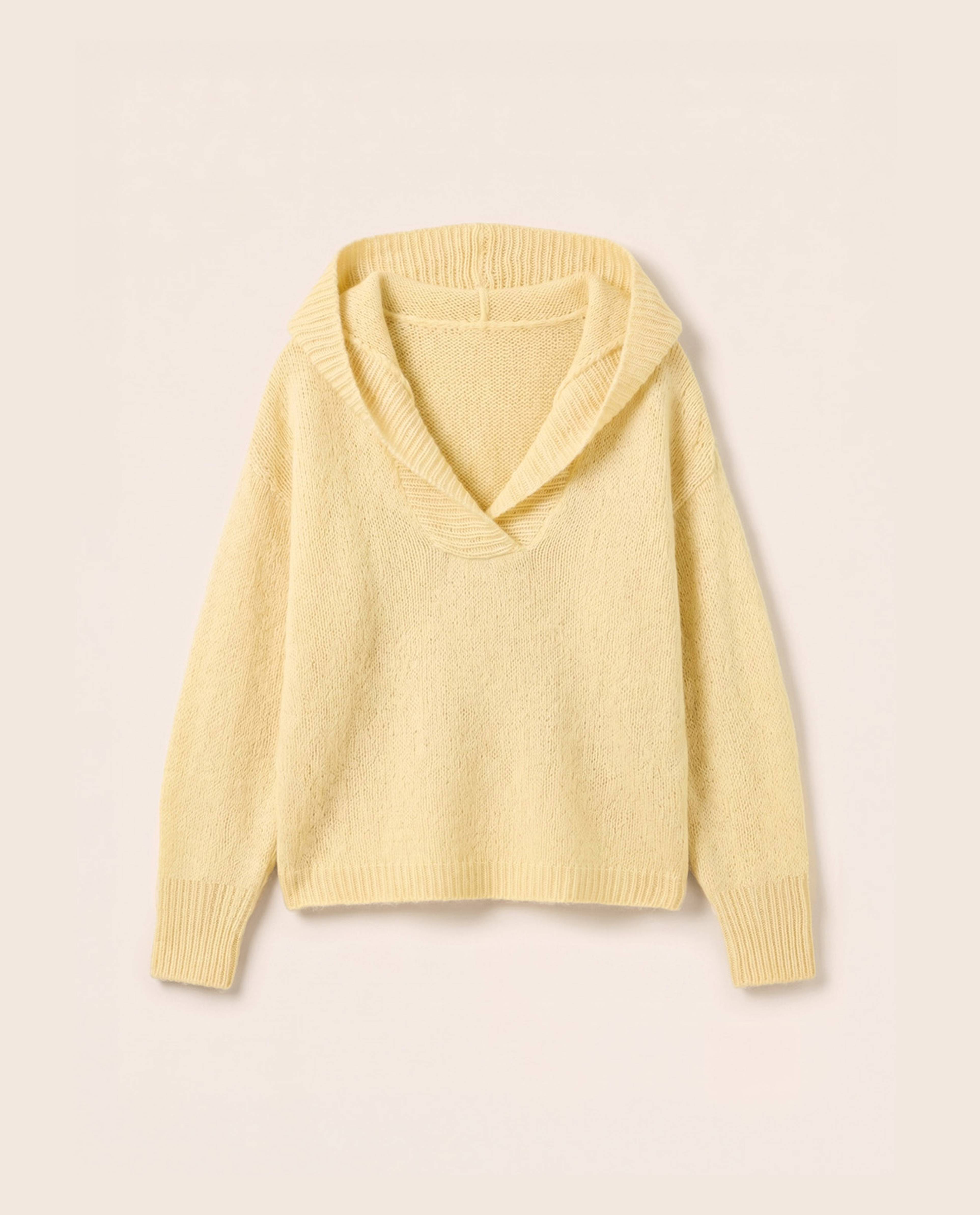 Modèle Pull Femme Prune