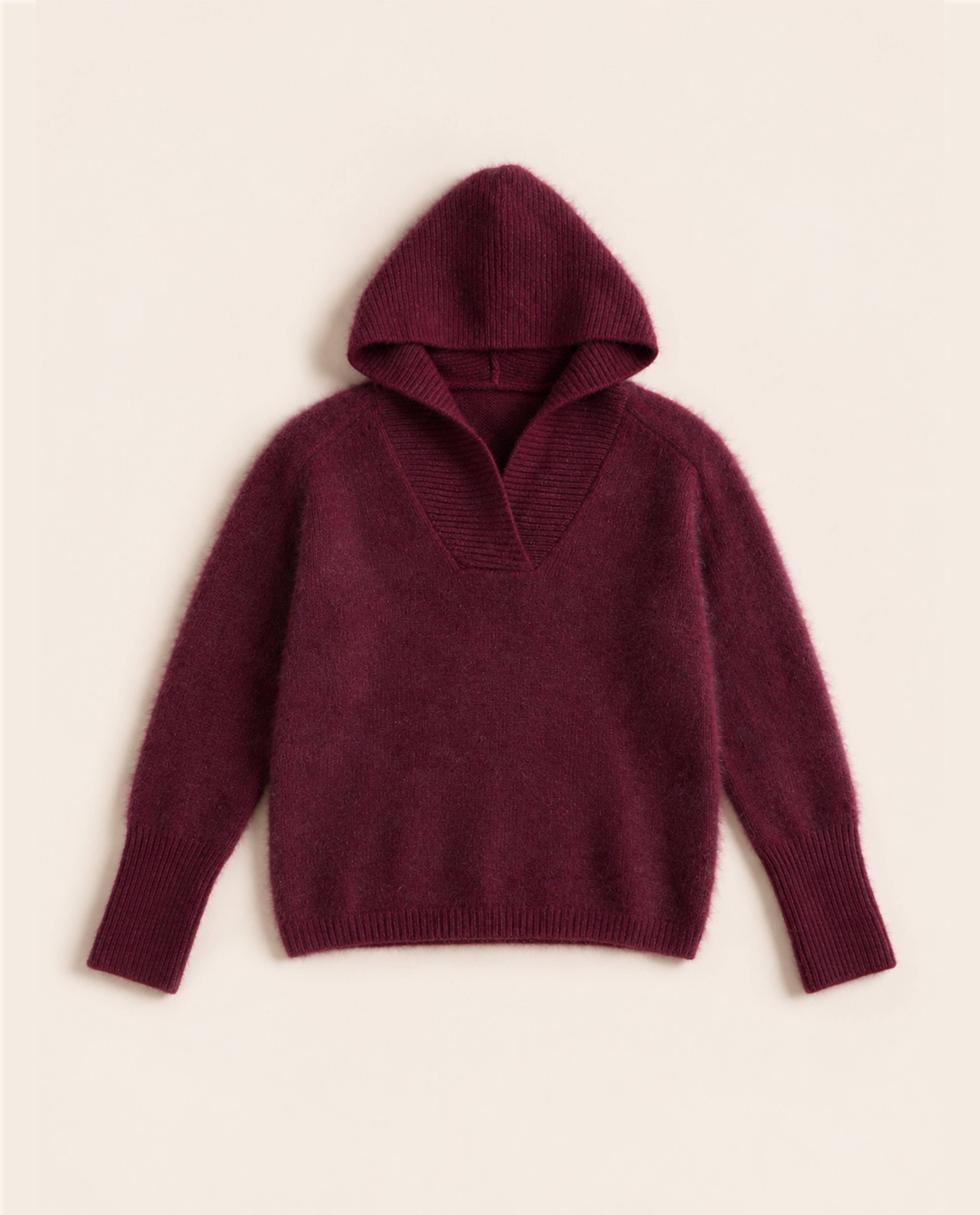 Modèle Pull Femme Prune
