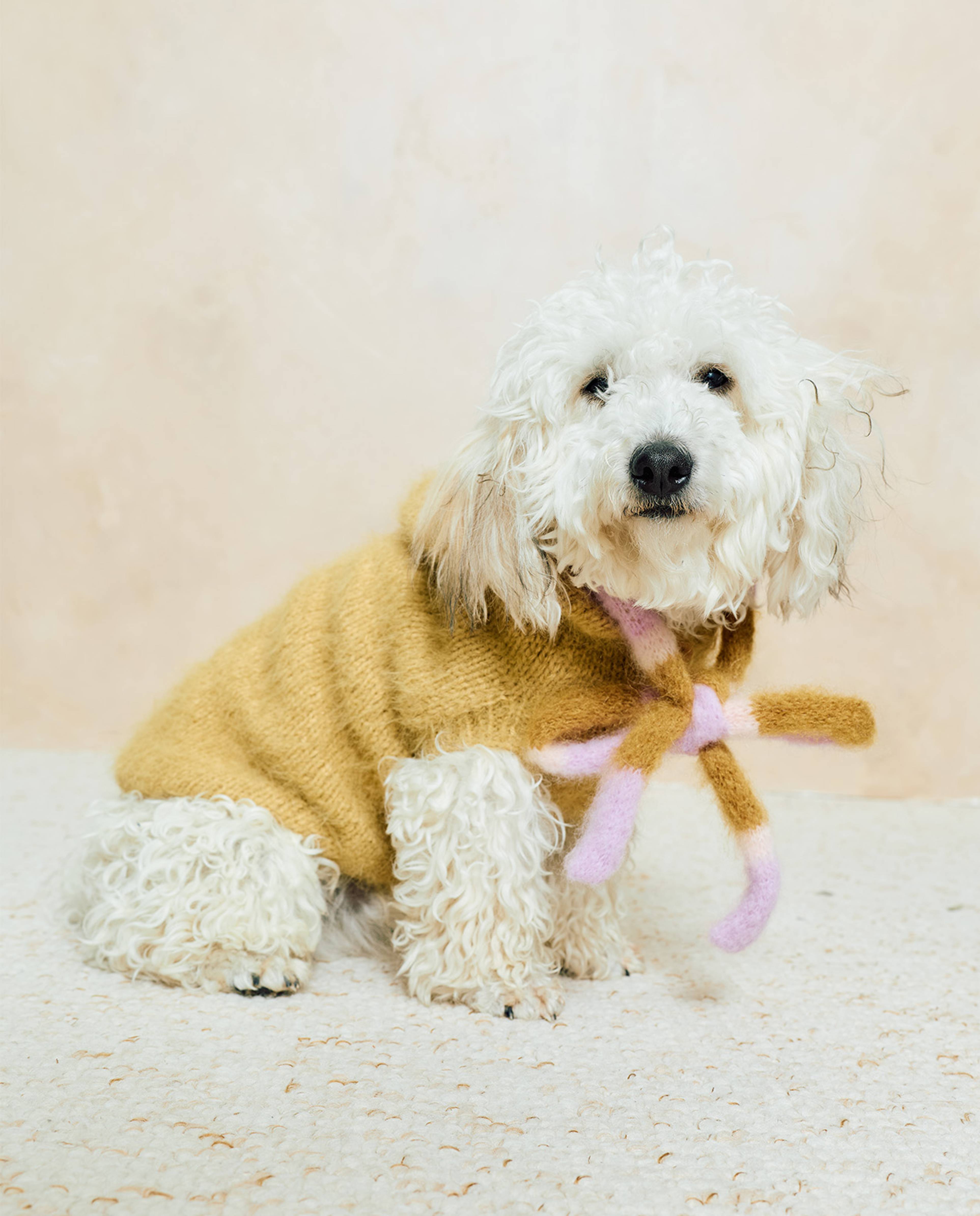 Modèle Manteau Pour Chien Billie