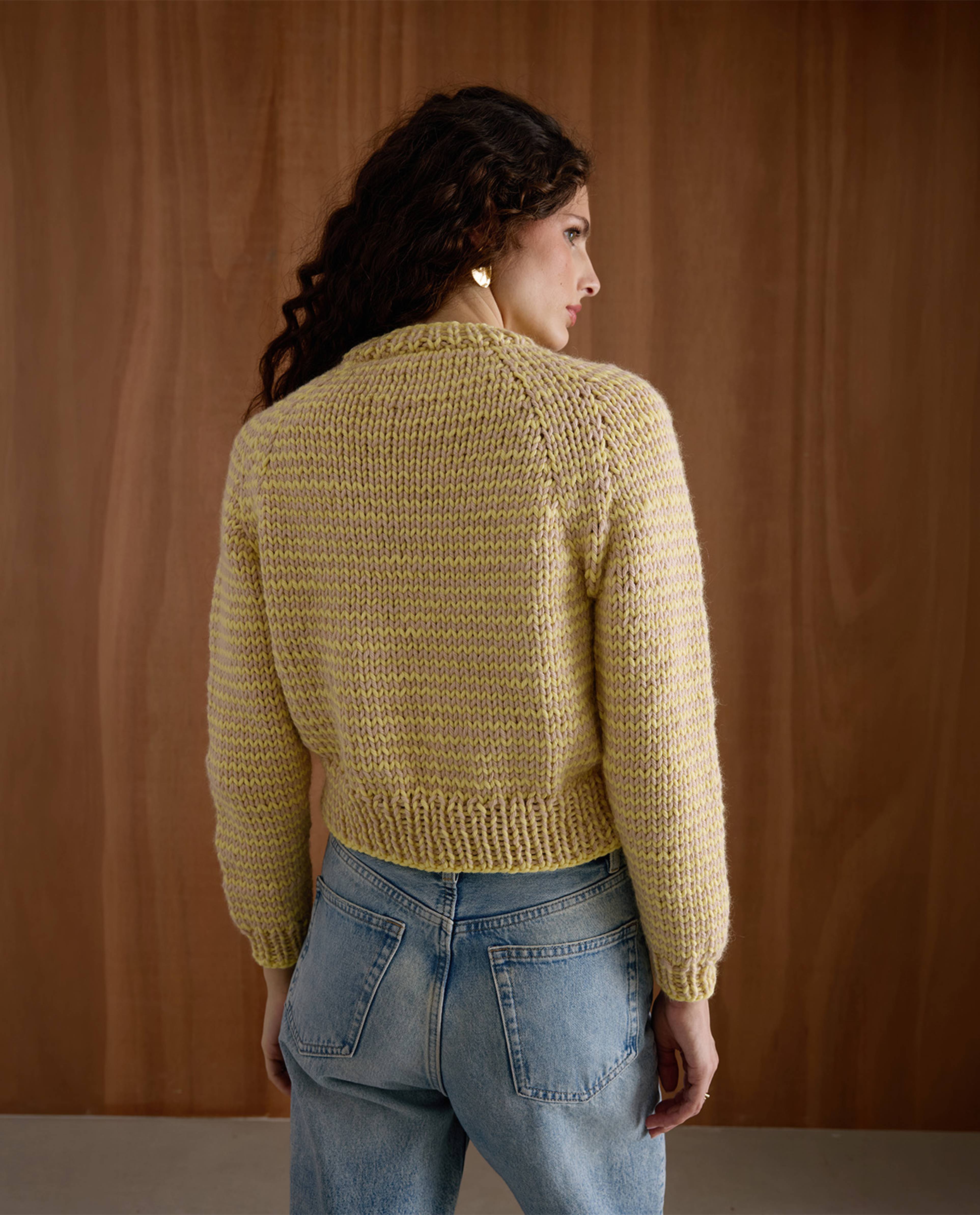 Modèle Pull Femme Dixie