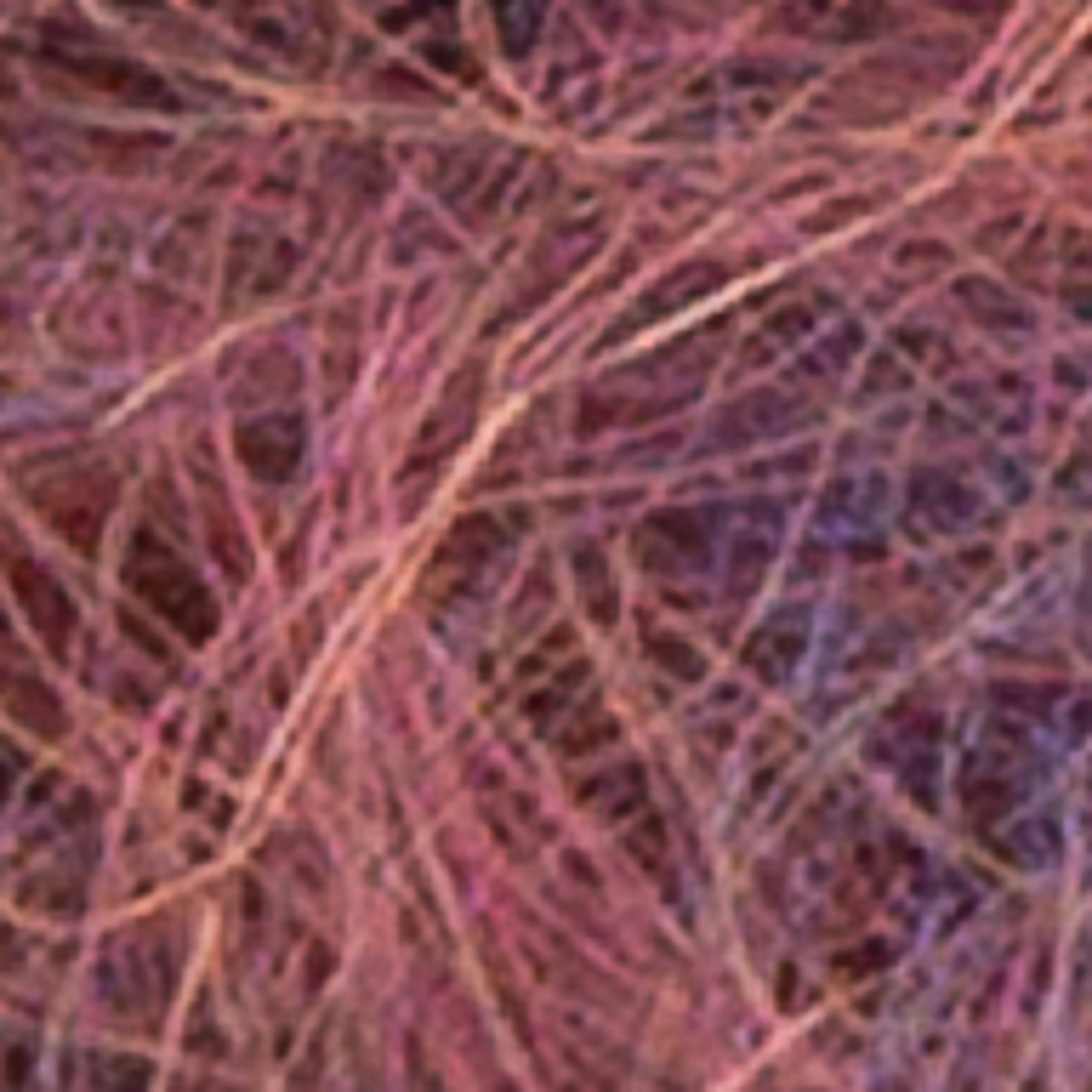 Variant thumbnail