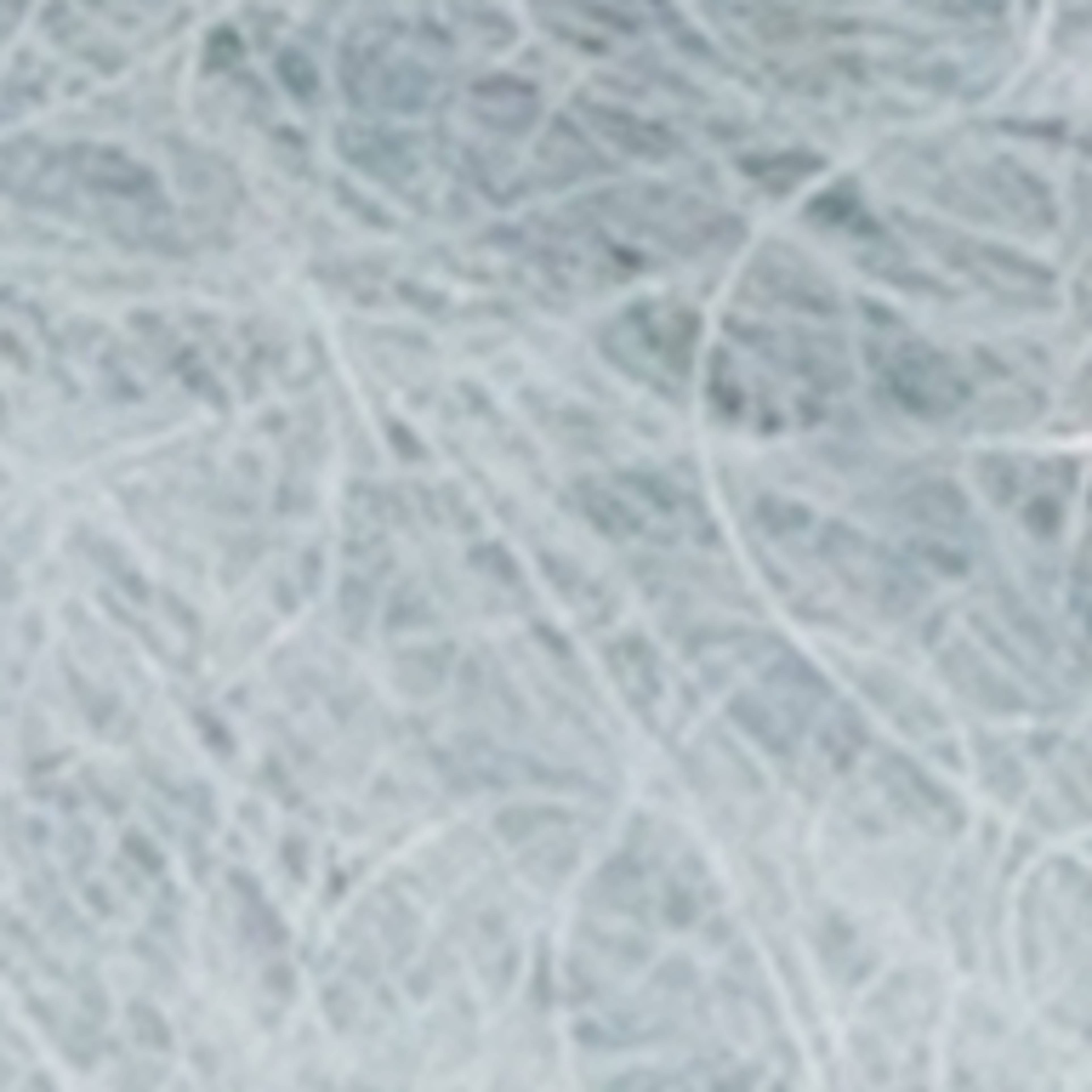 ICEBERG