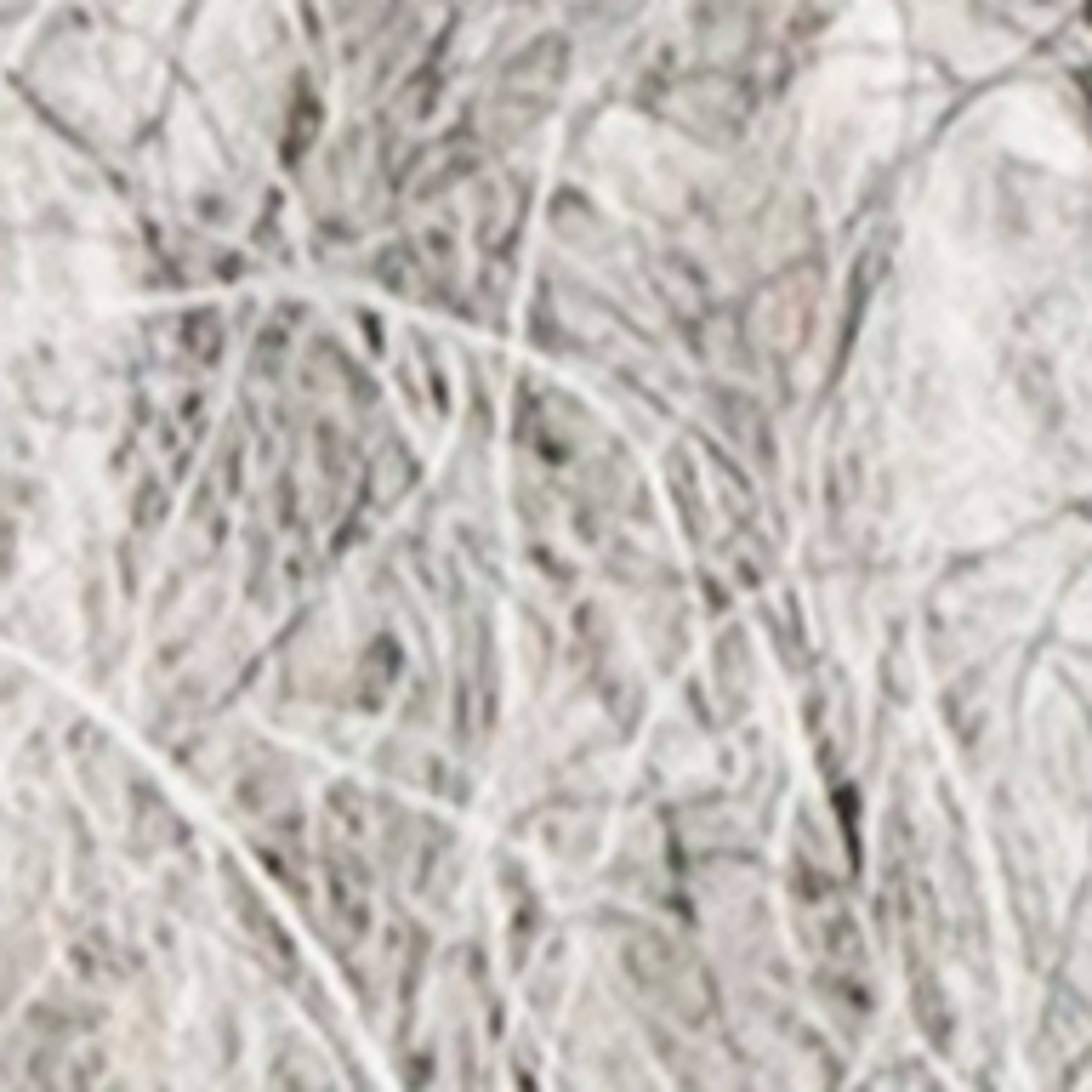 Variant thumbnail