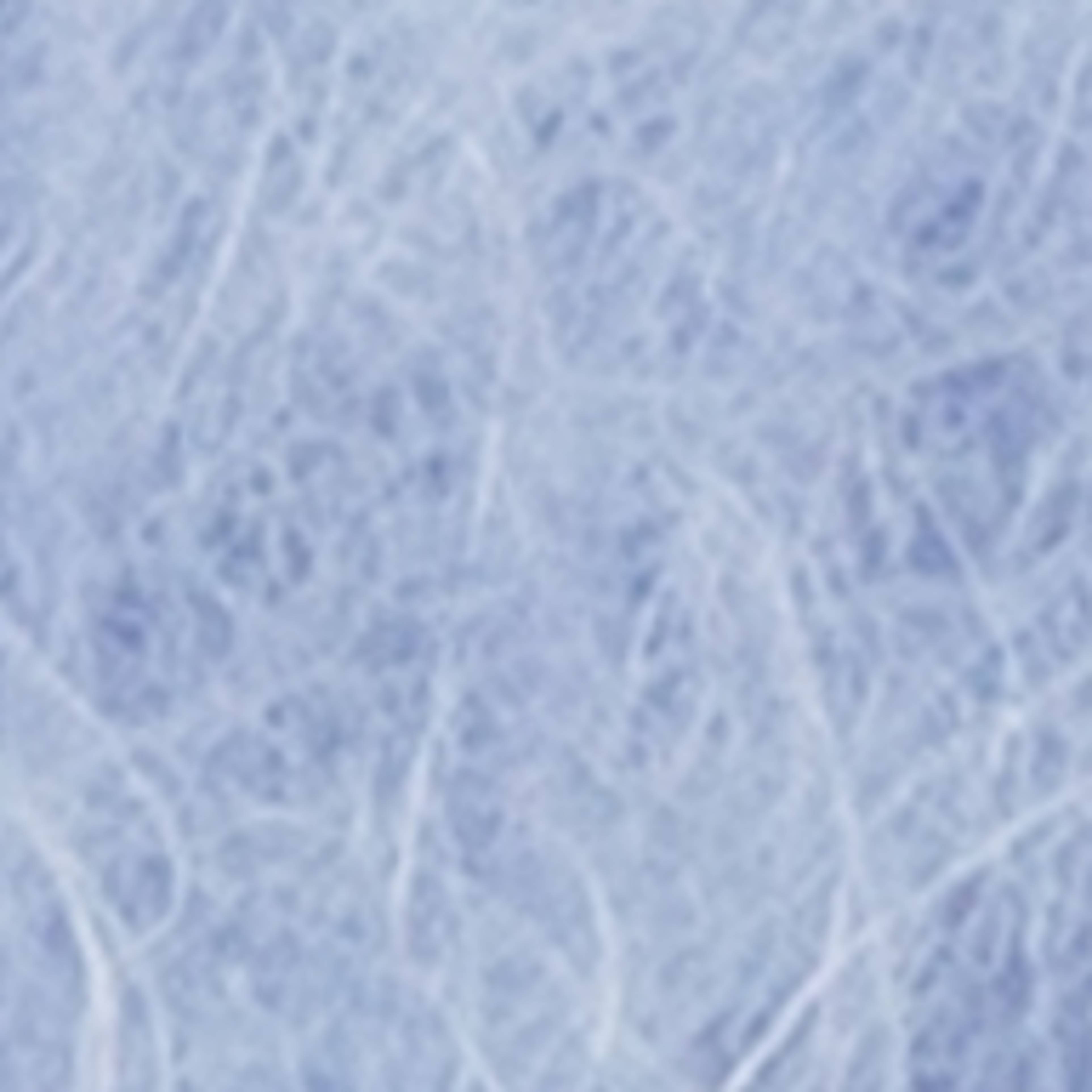 BLEUET