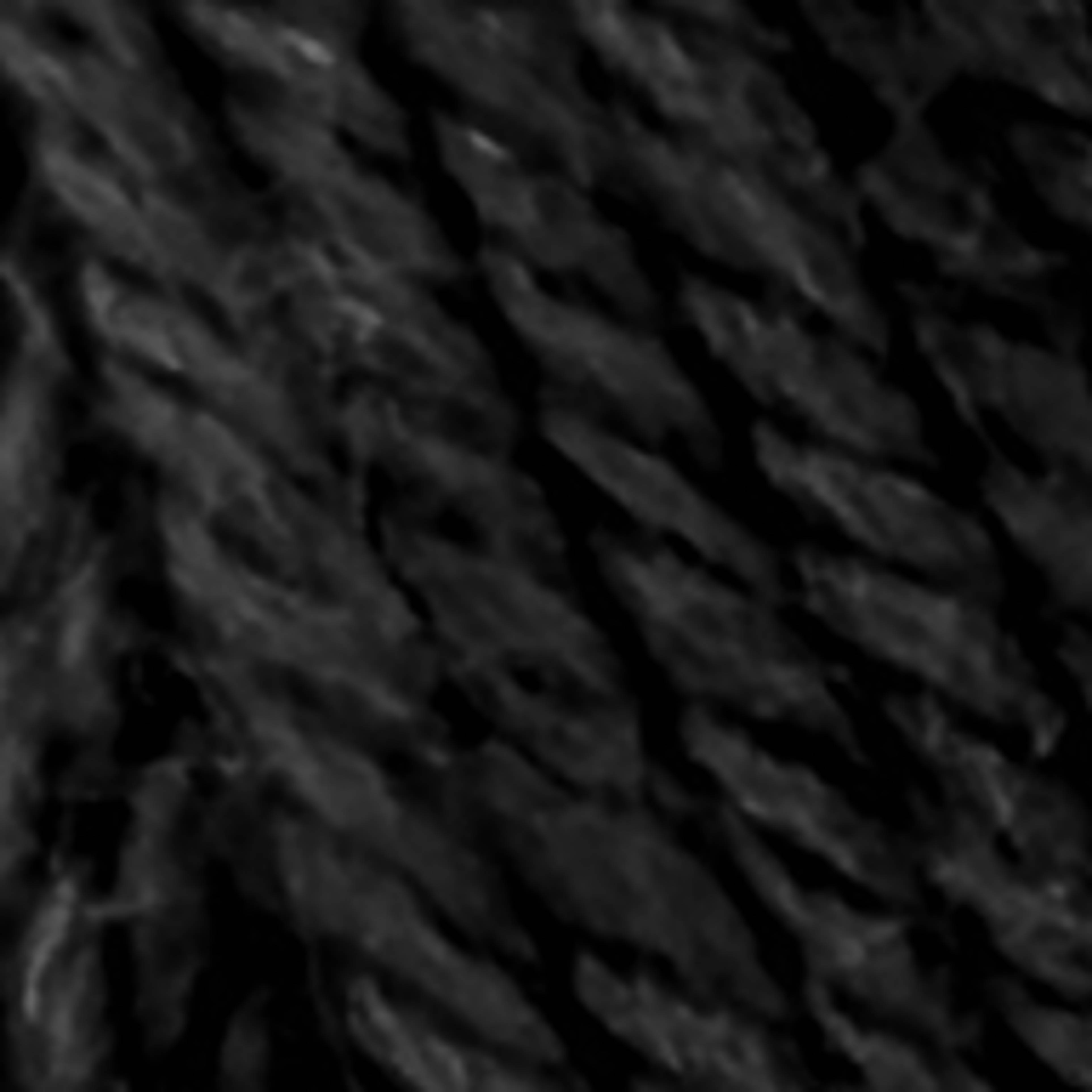Variant thumbnail