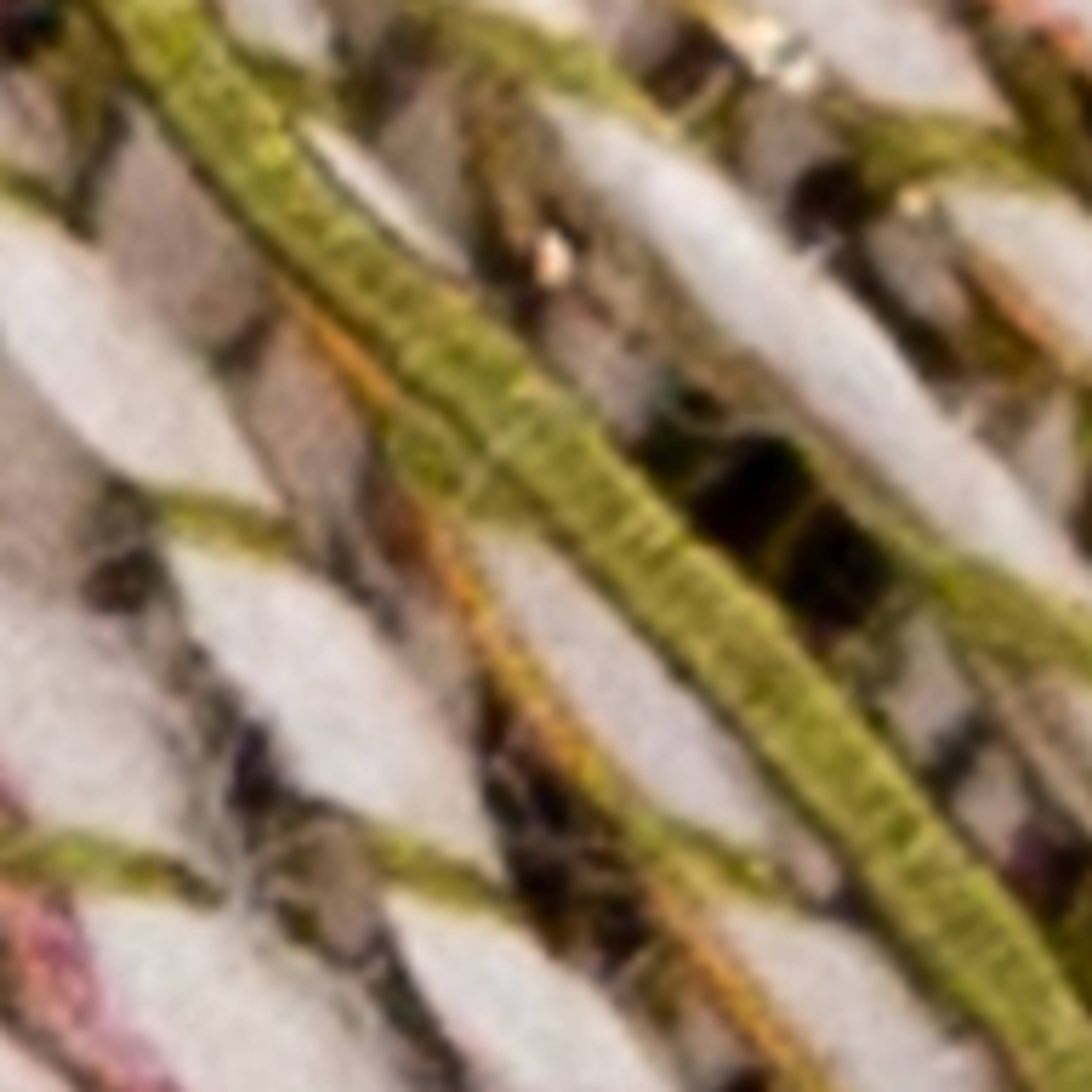 Variant thumbnail