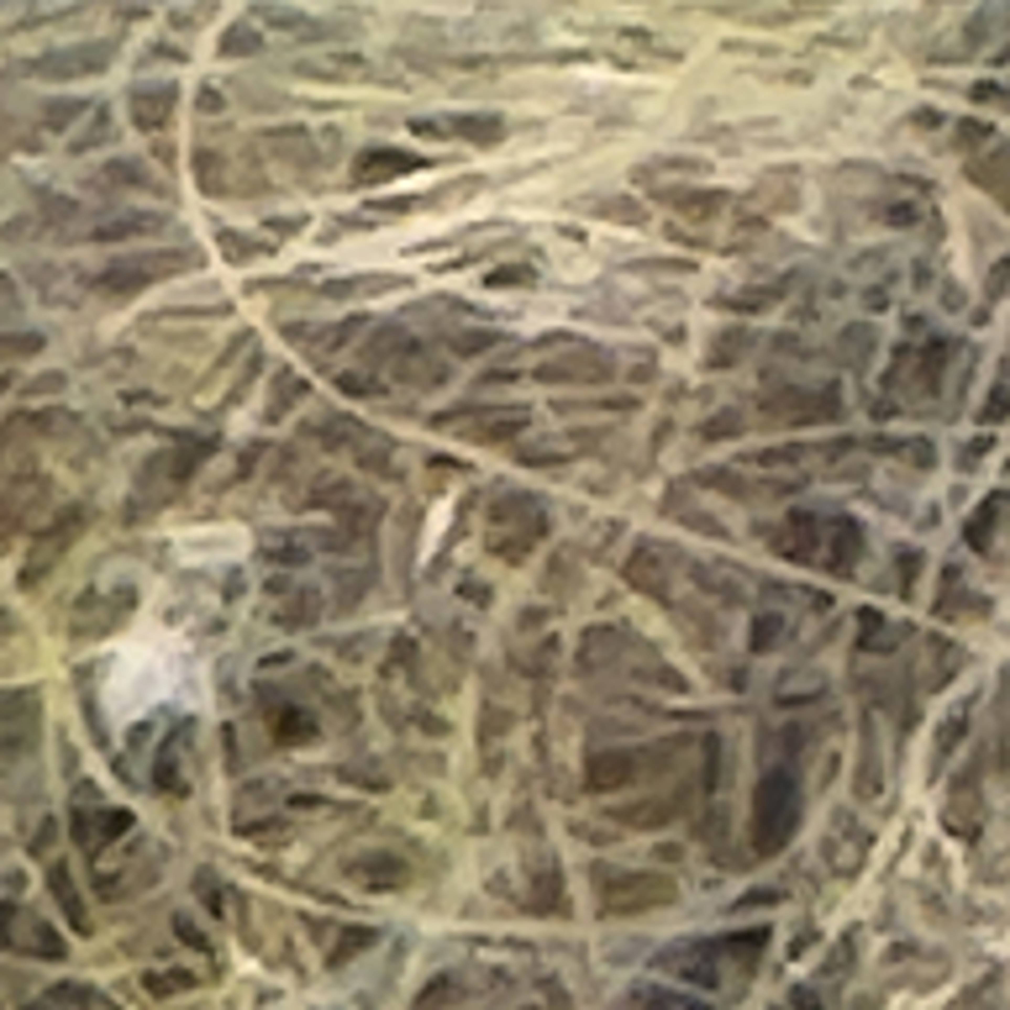Variant thumbnail