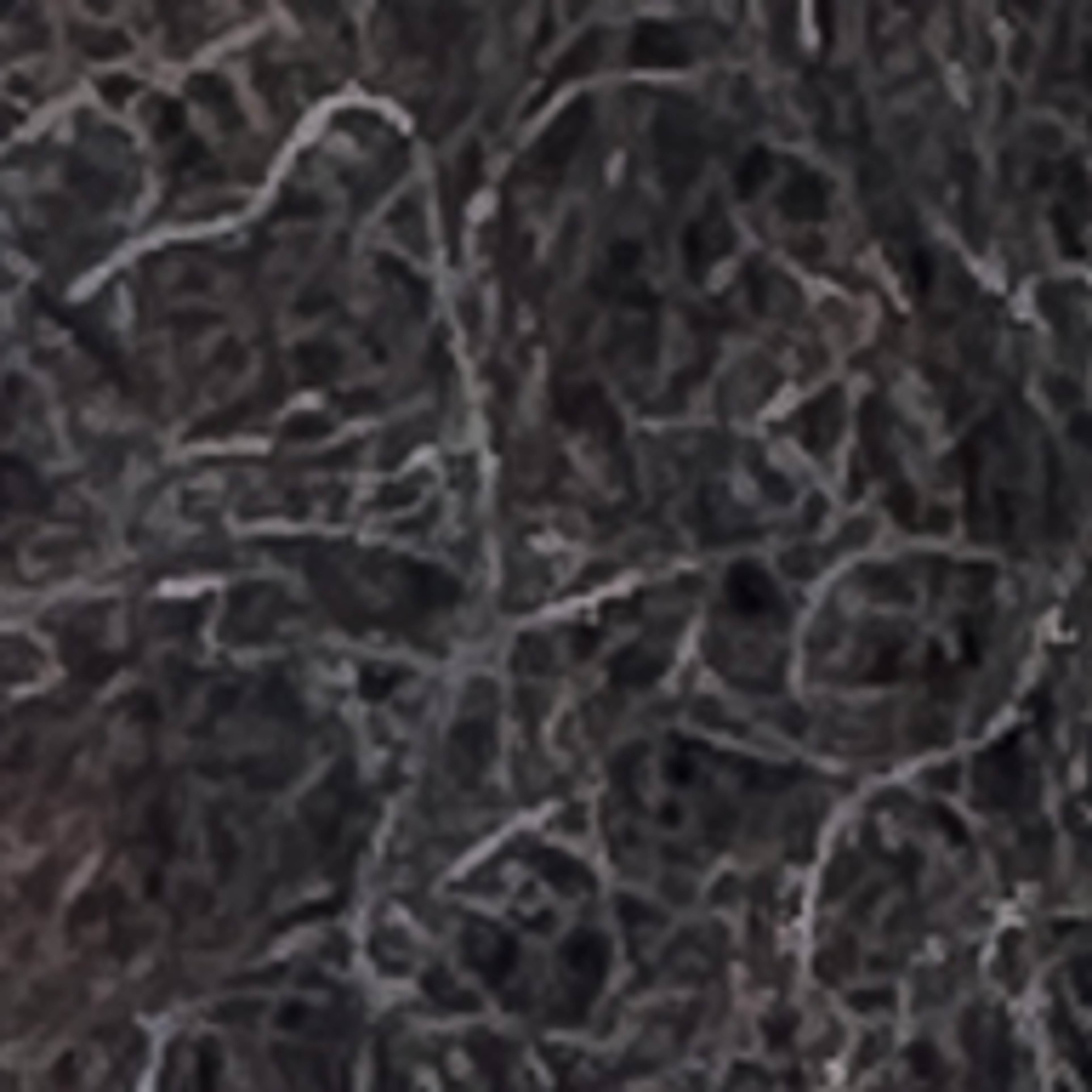 Variant thumbnail