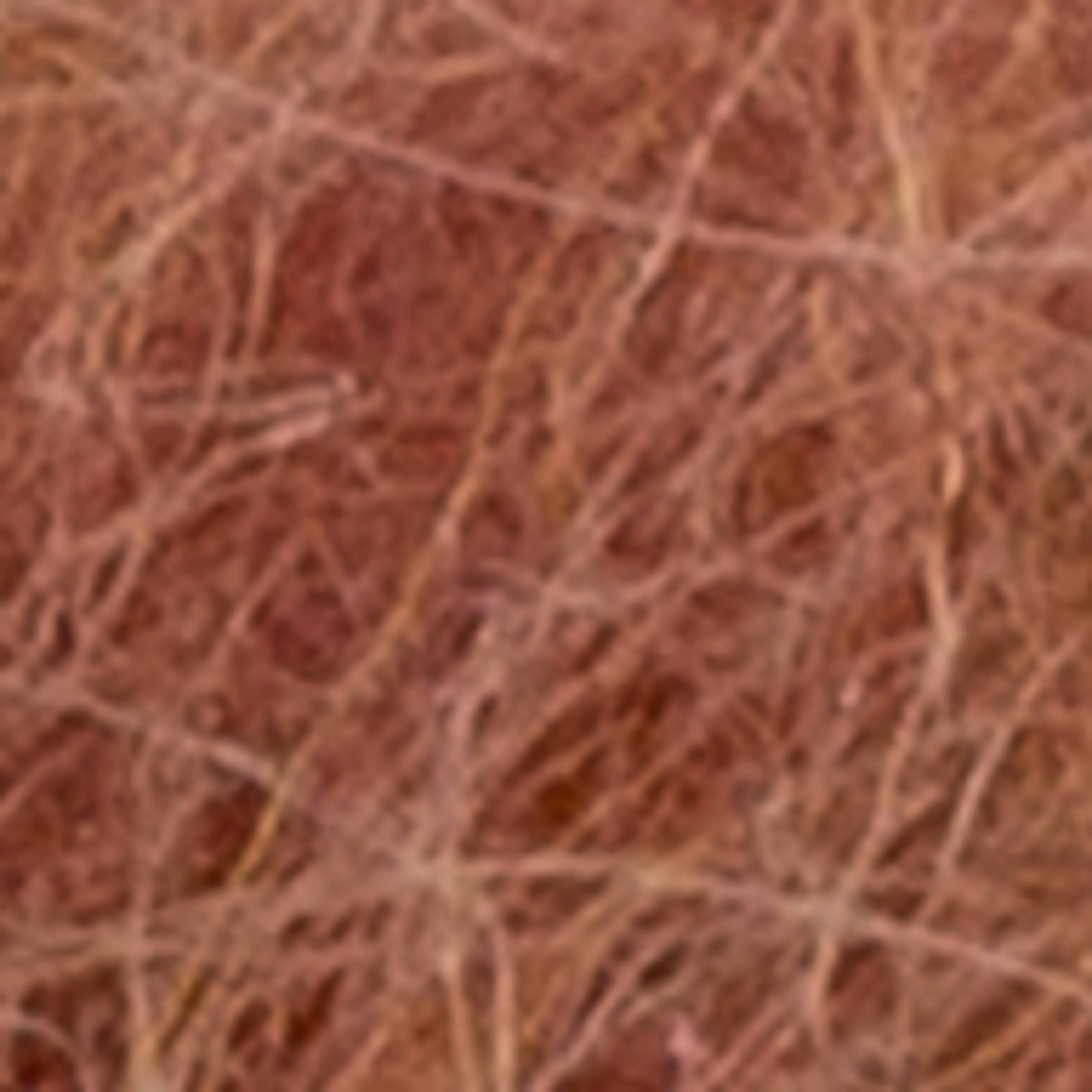 Variant thumbnail