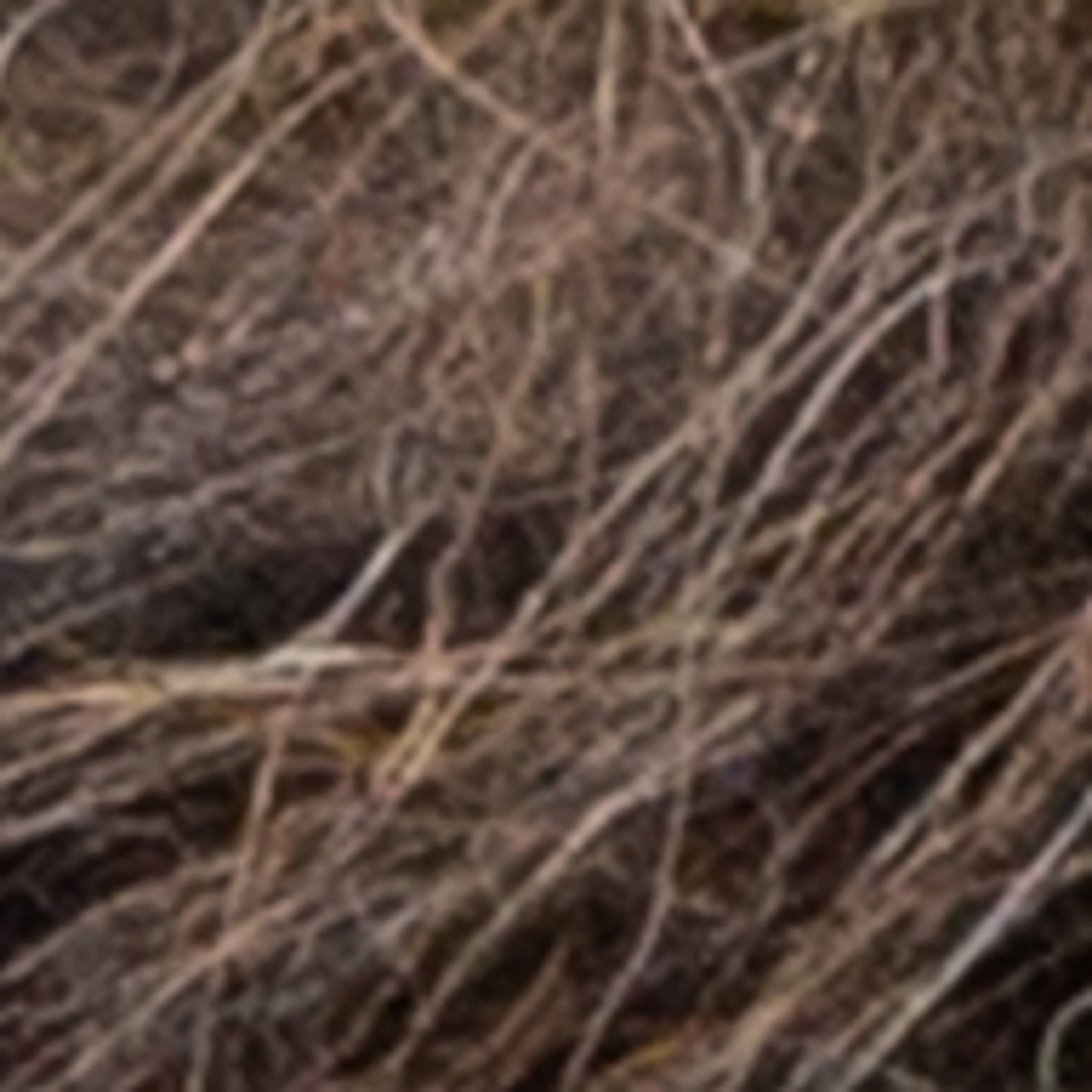 Variant thumbnail