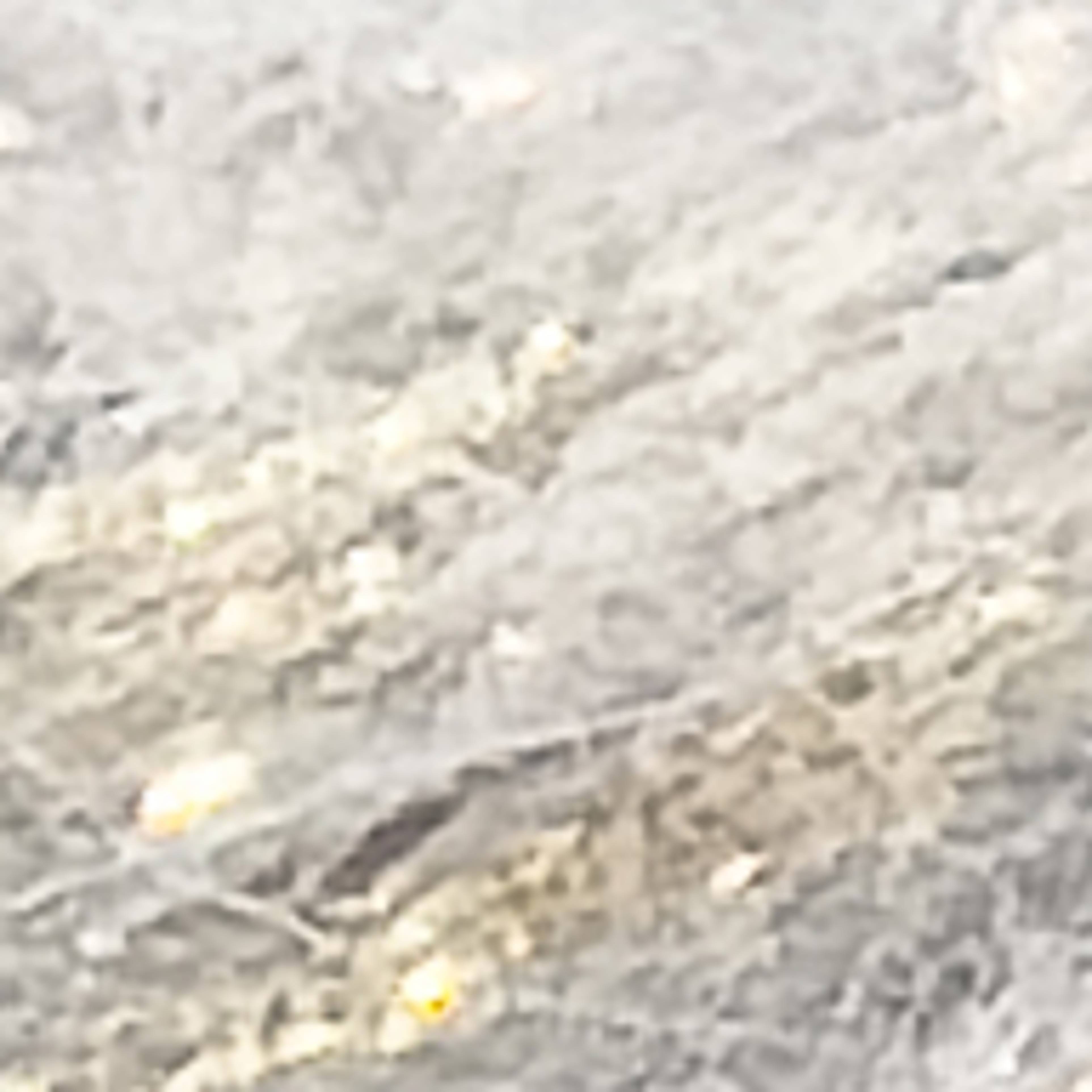 Variant thumbnail