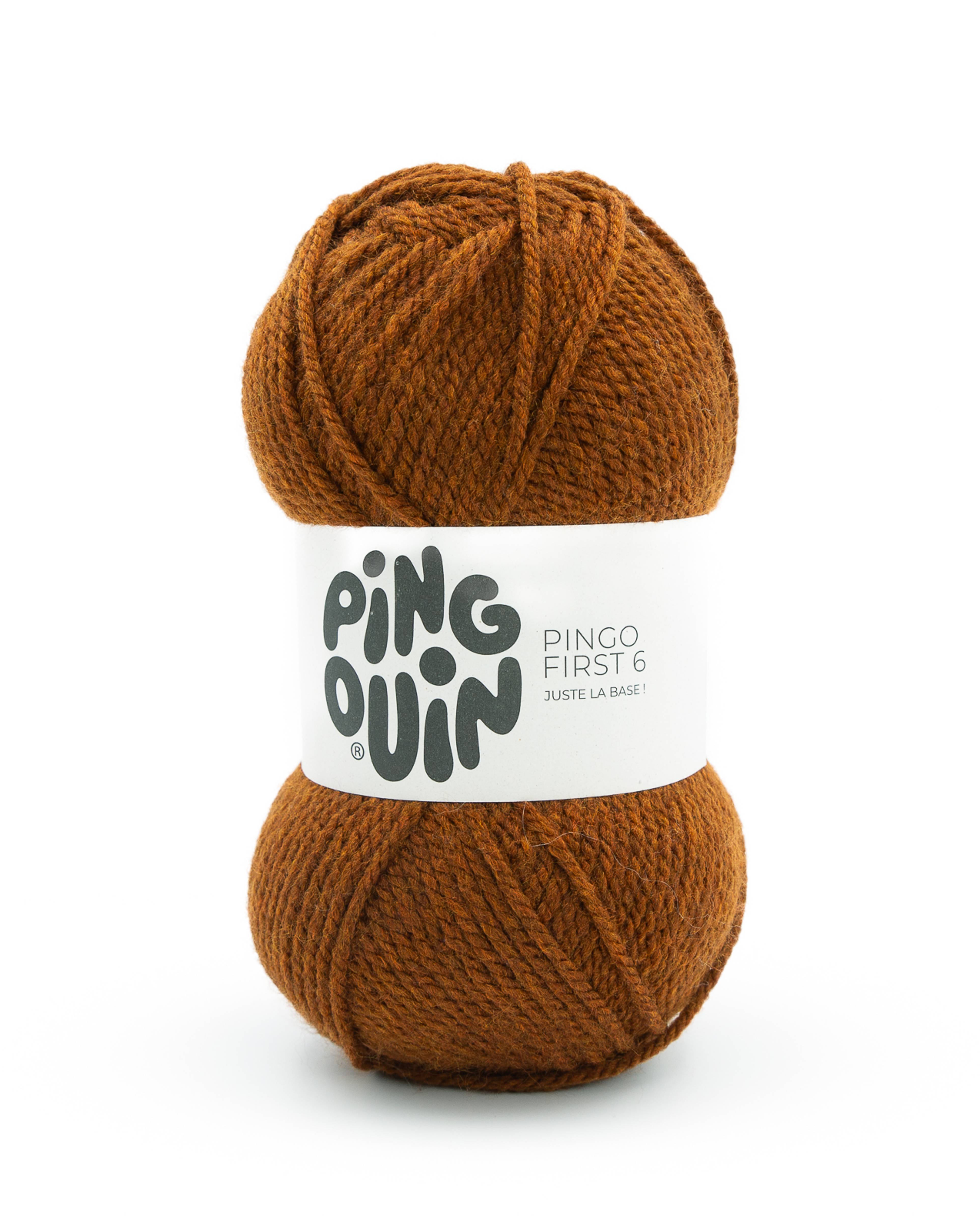 Pingo First 6