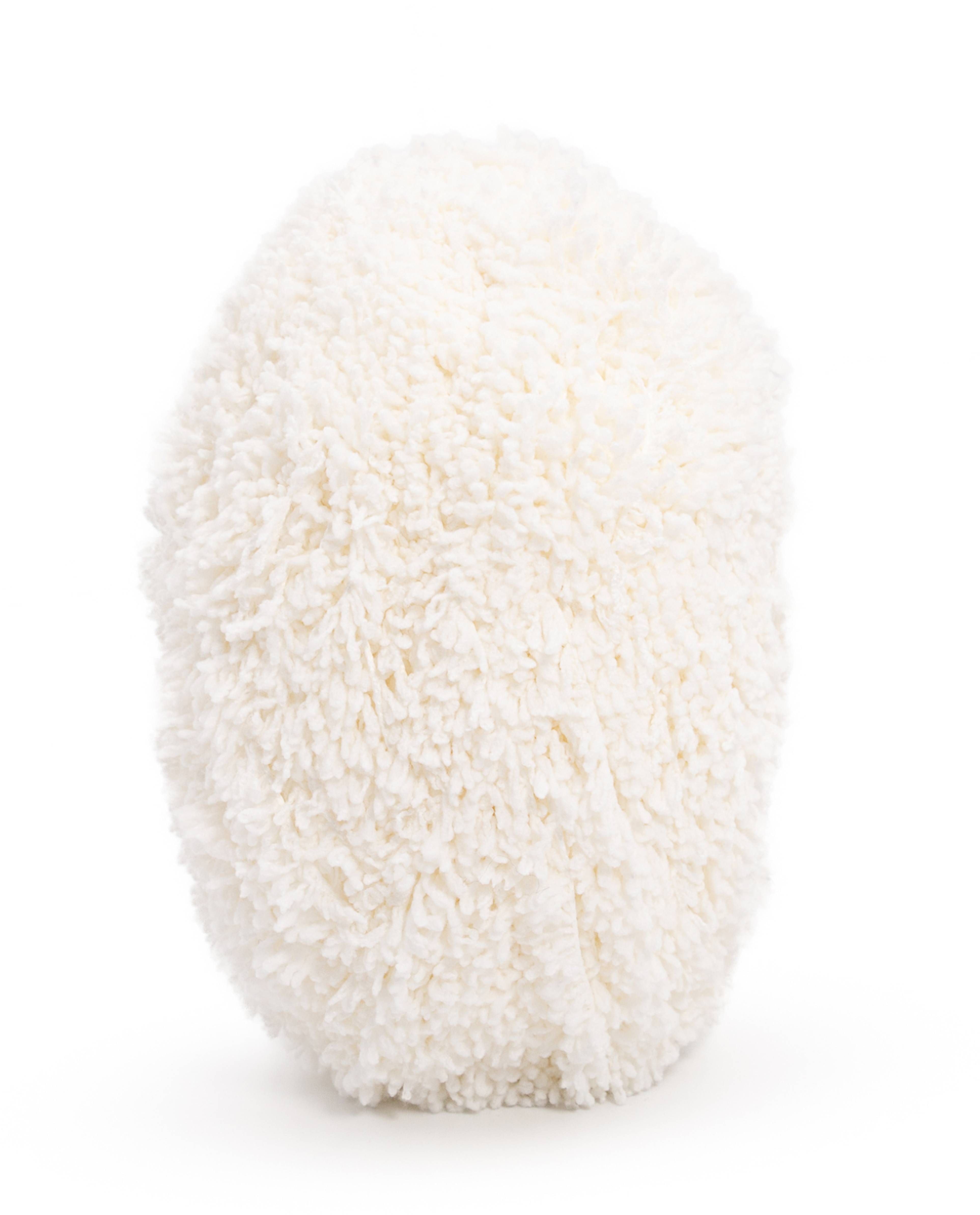 Pingo Sherpa