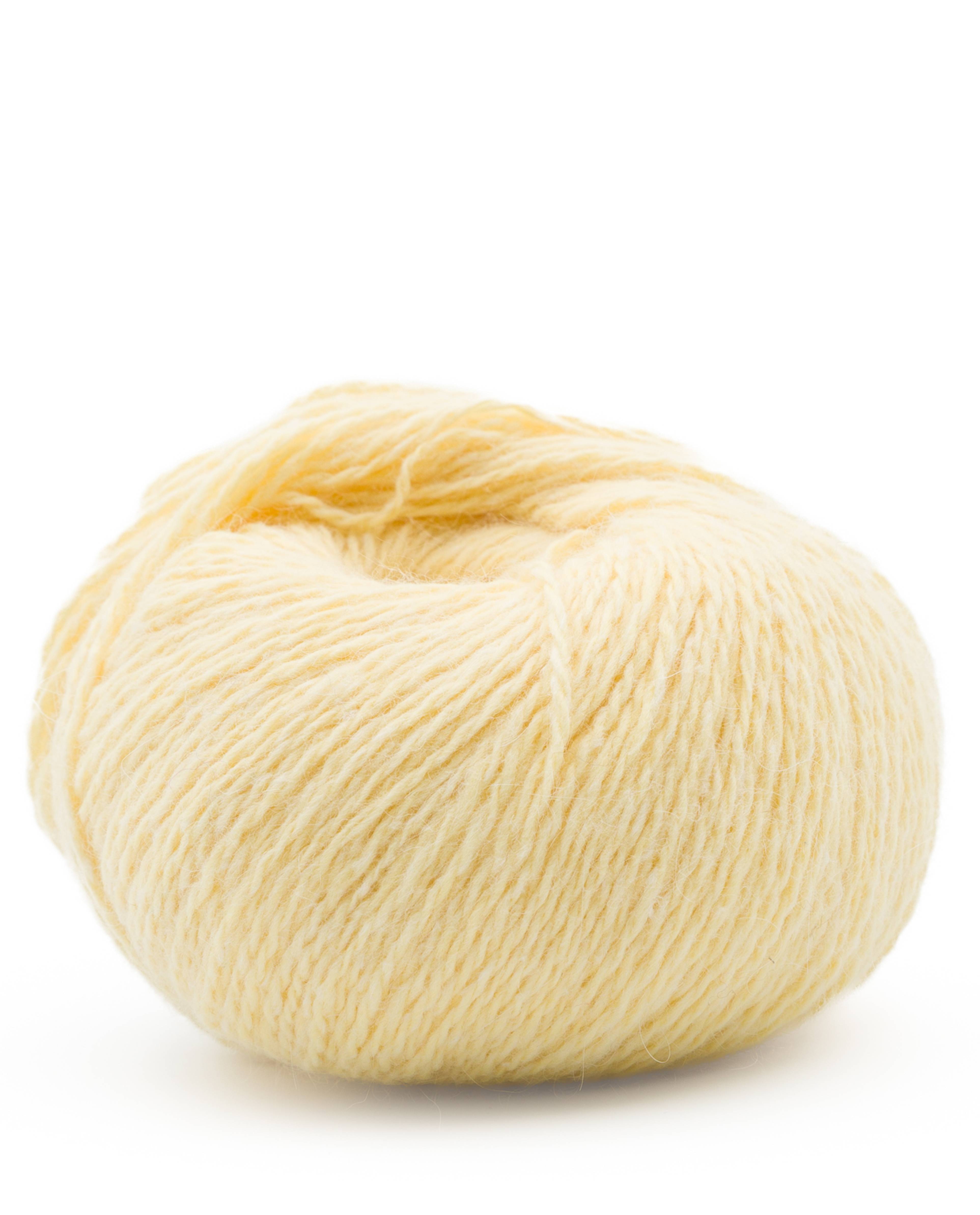 Phil Angora