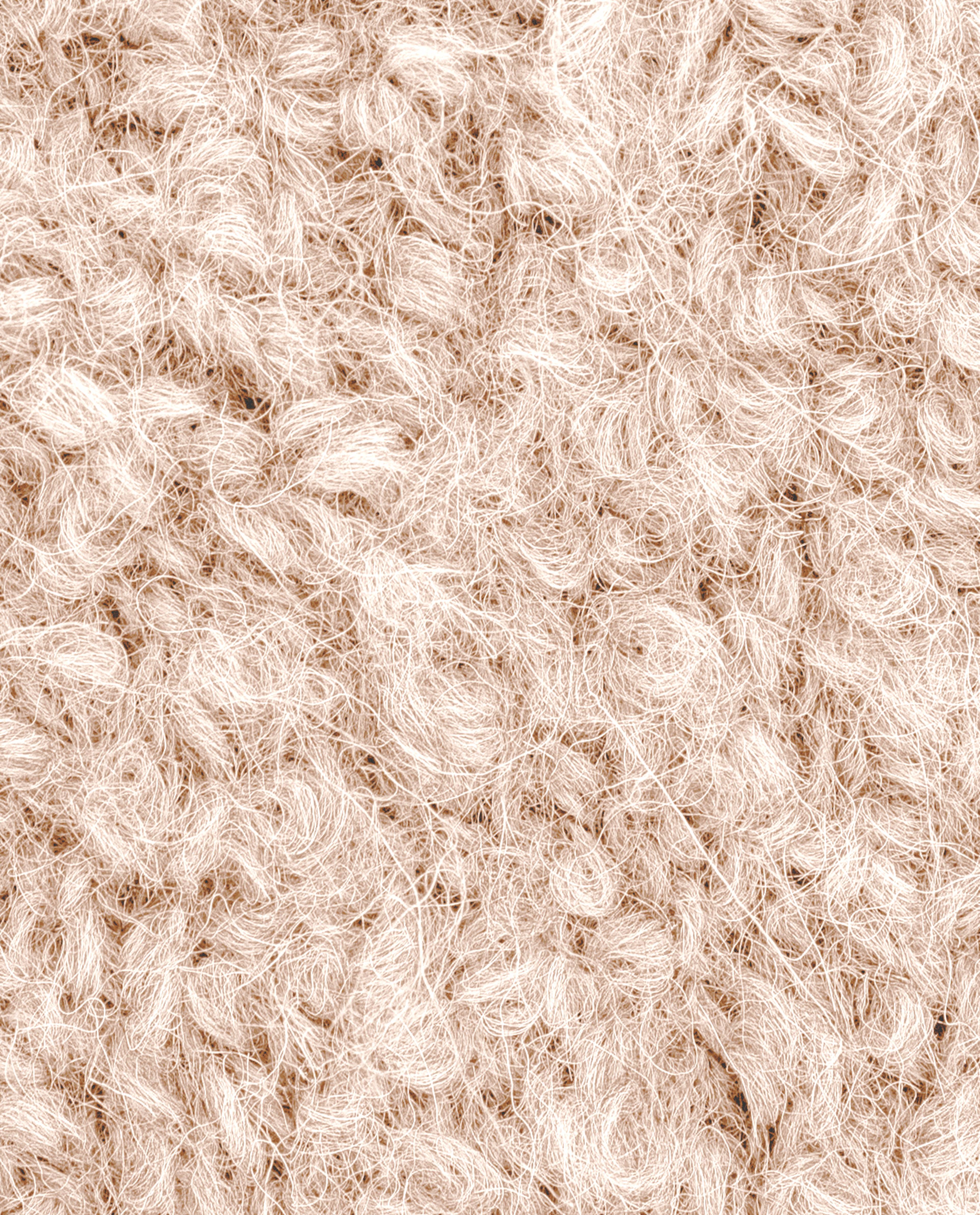 Phil Alpaga Boucle