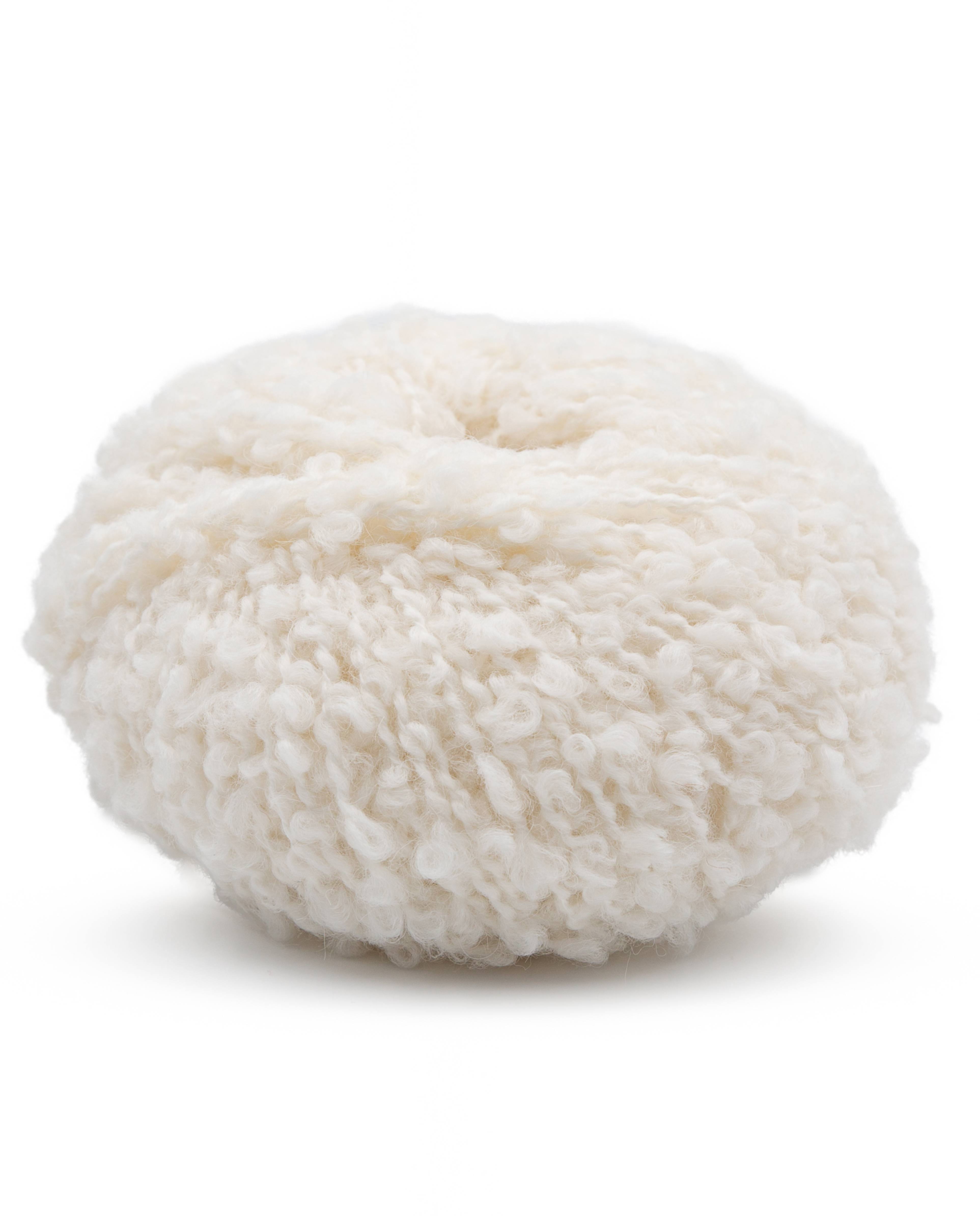 Phil Alpaga Boucle