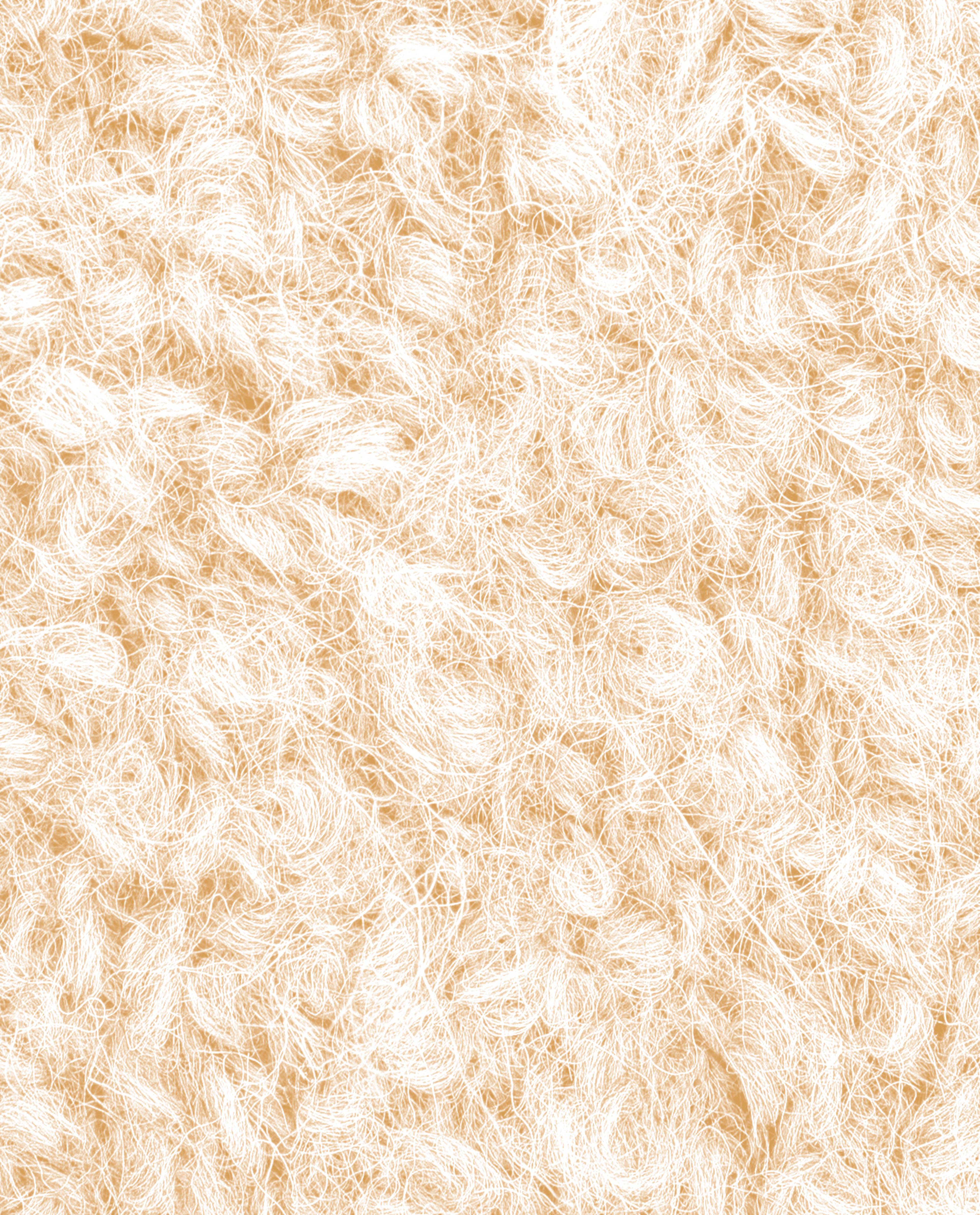 Phil Alpaga Boucle