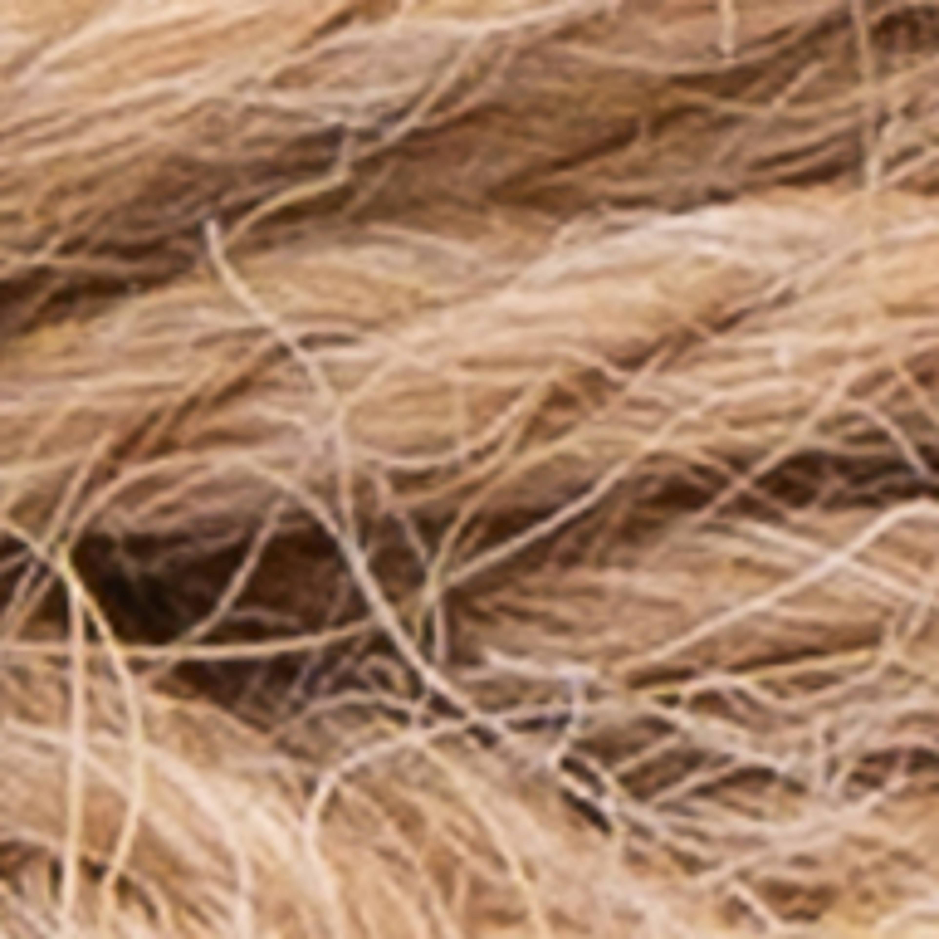 Variant thumbnail
