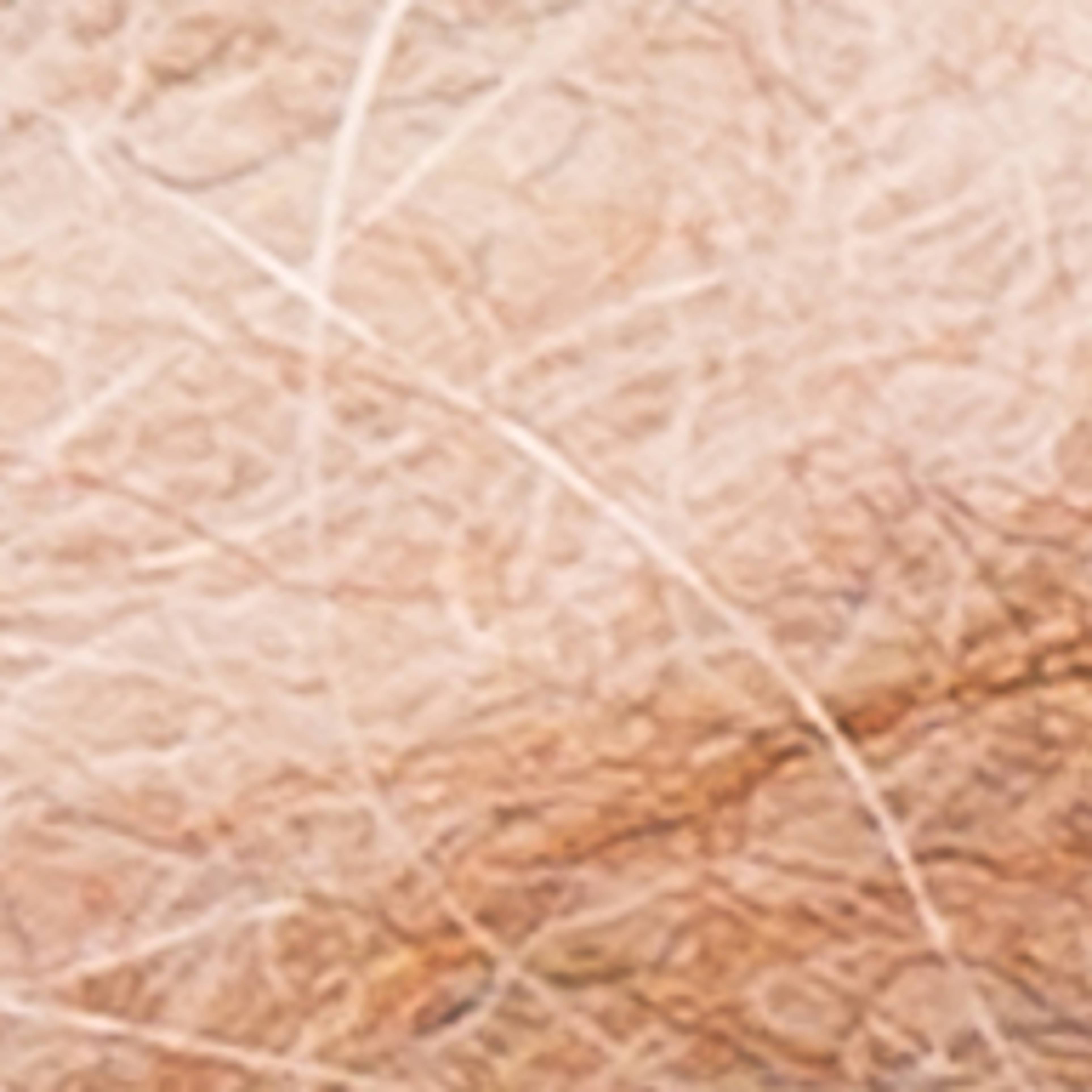 Variant thumbnail
