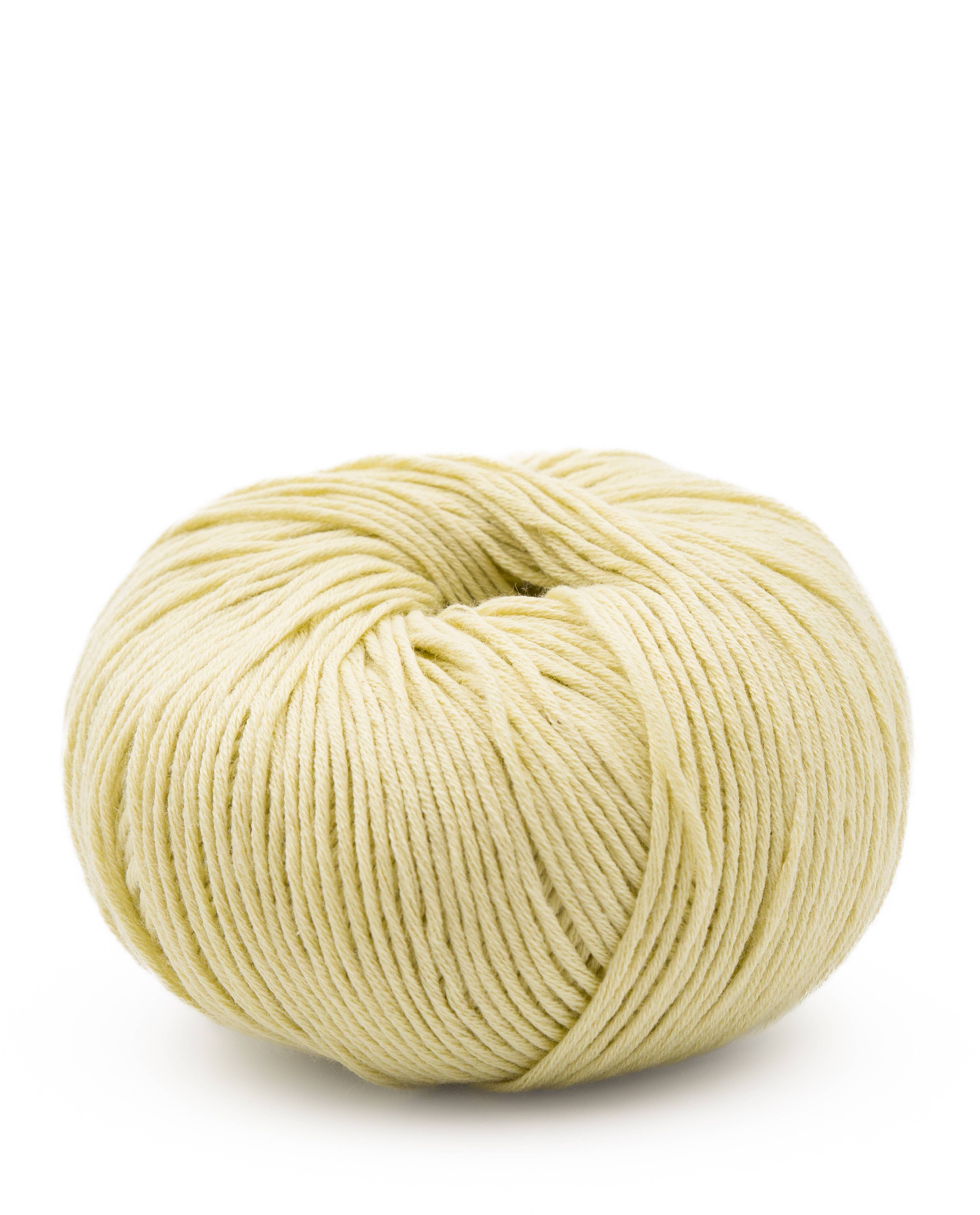 Phil Cachemire Coton