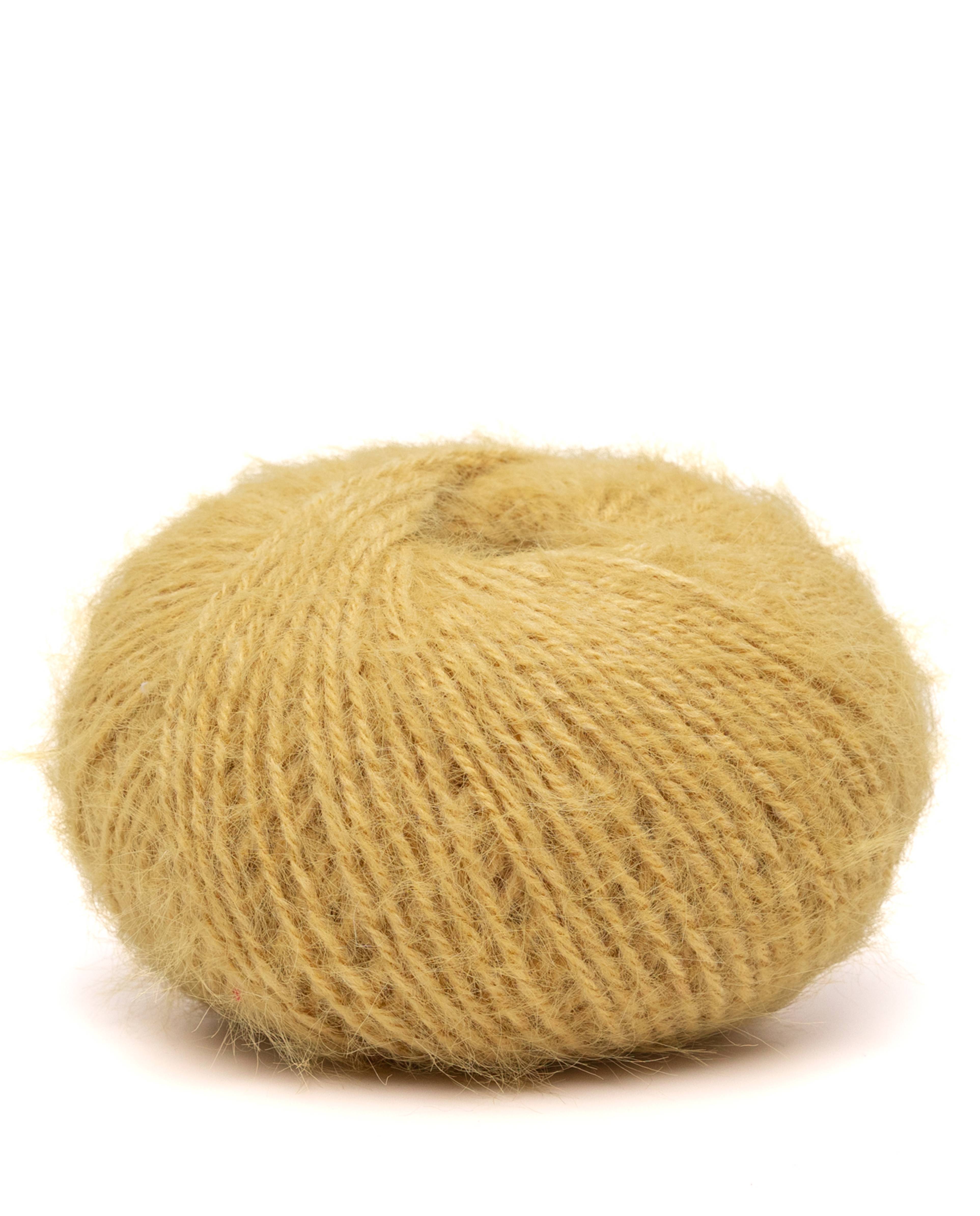 Phil Hairy