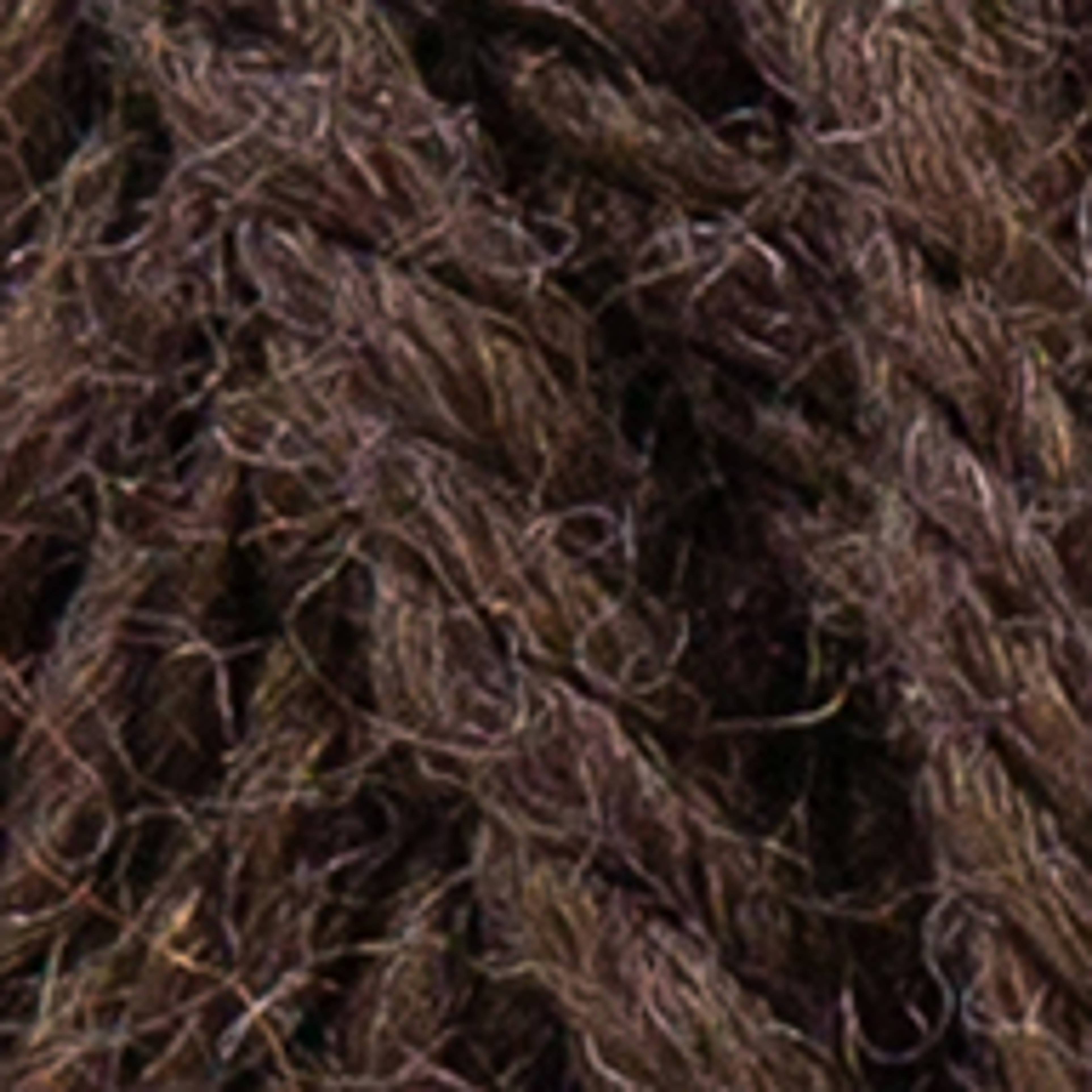 BISON