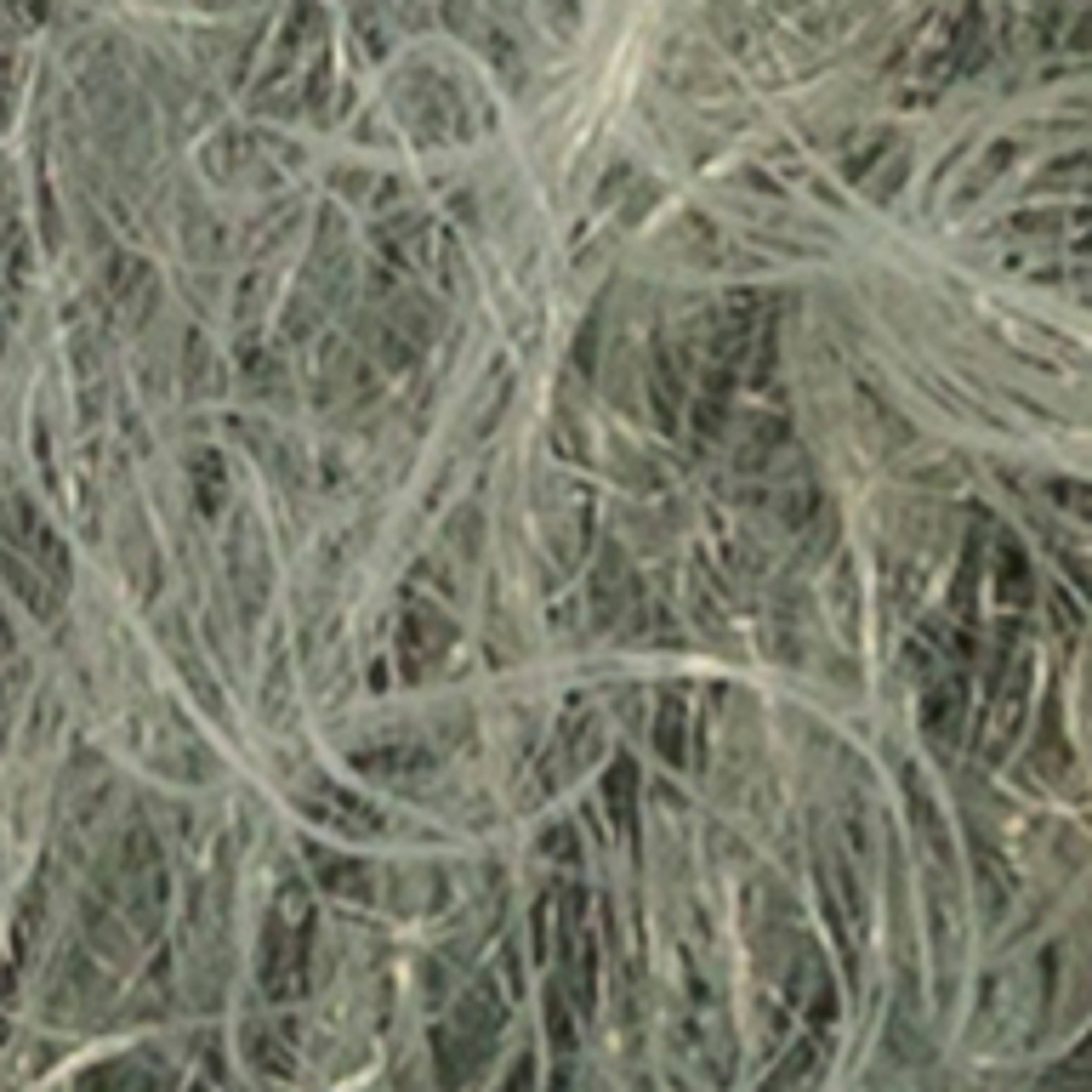 Variant thumbnail