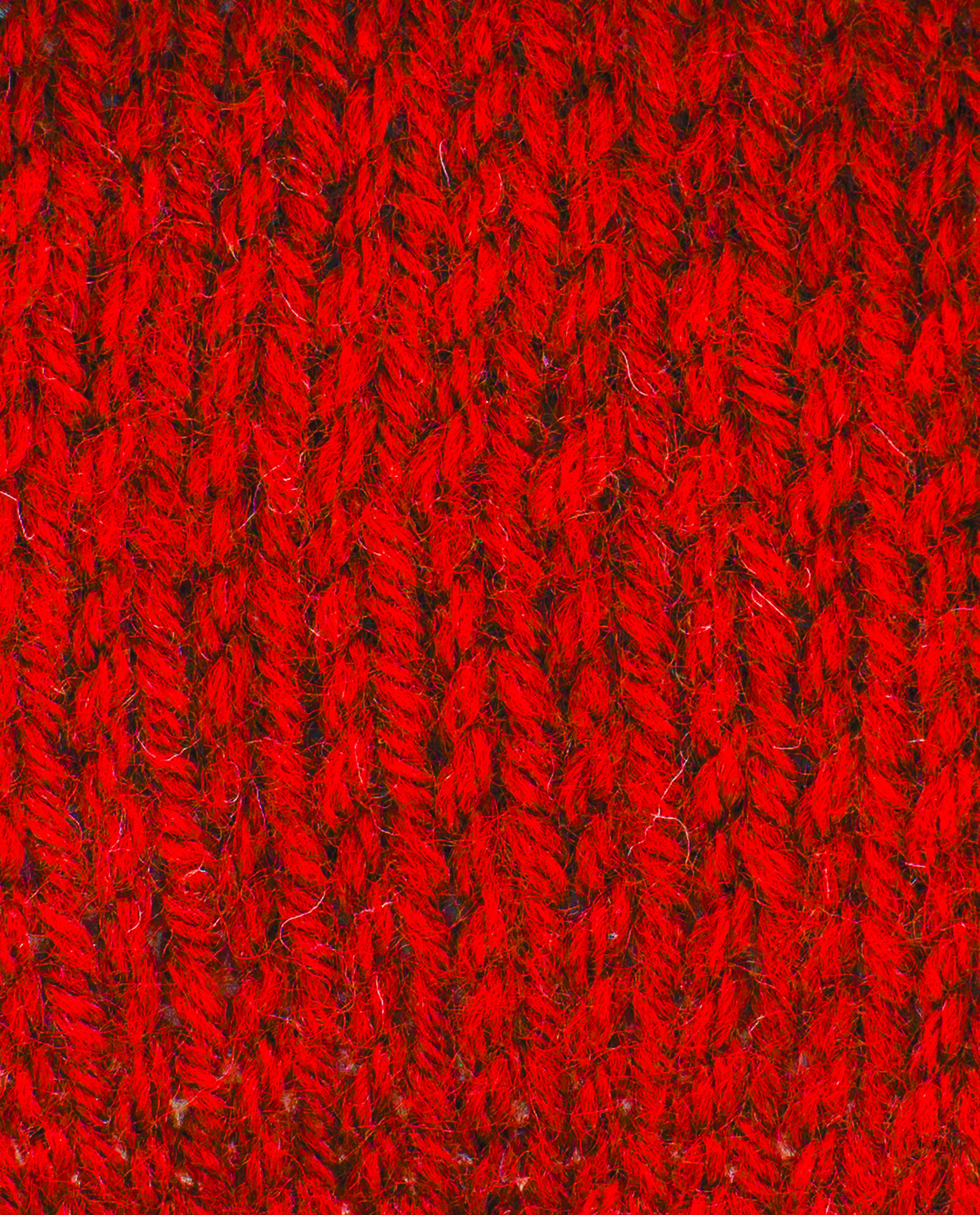 Pingo Yarn 3