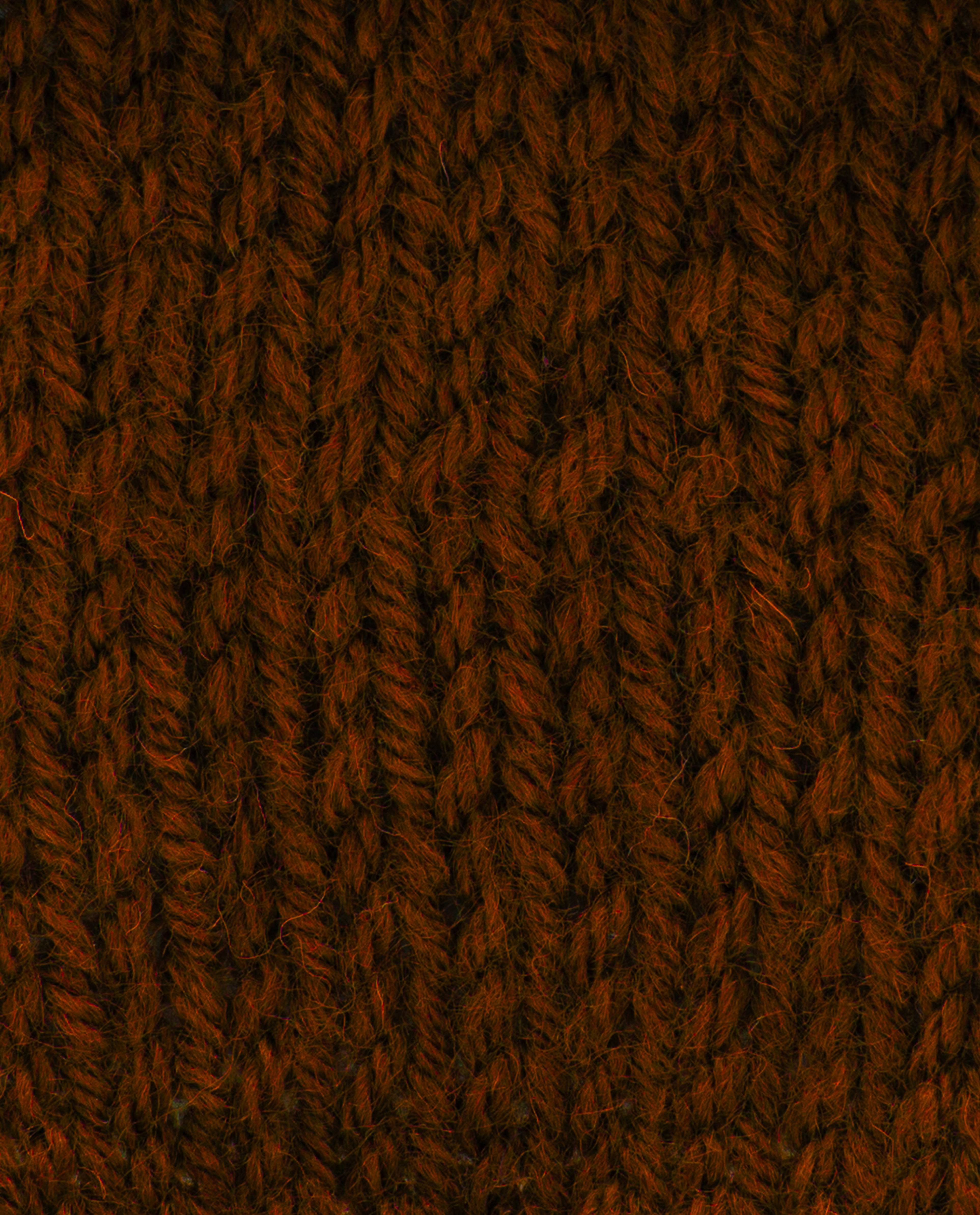Pingo Yarn 3