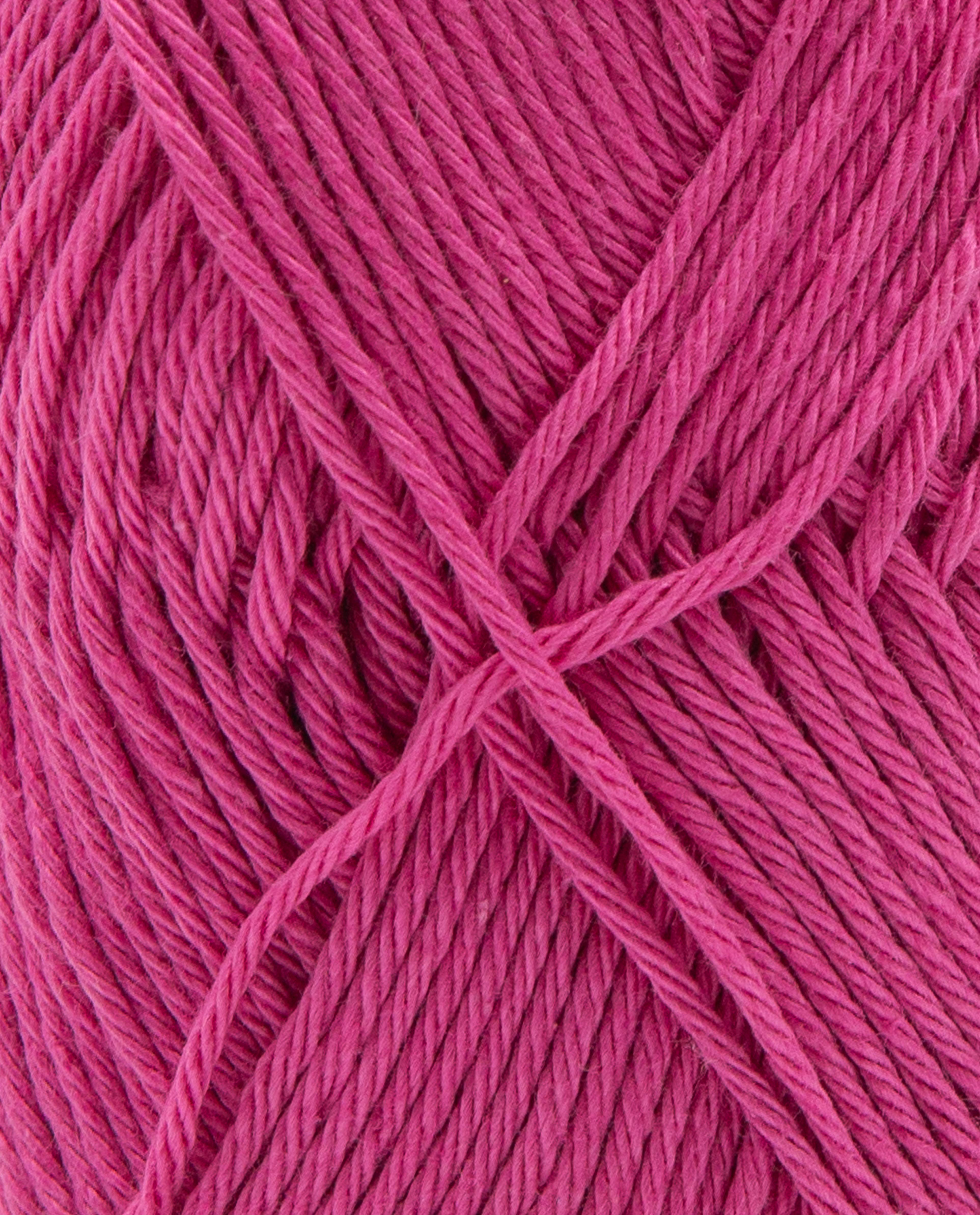 ROSE VIOLET