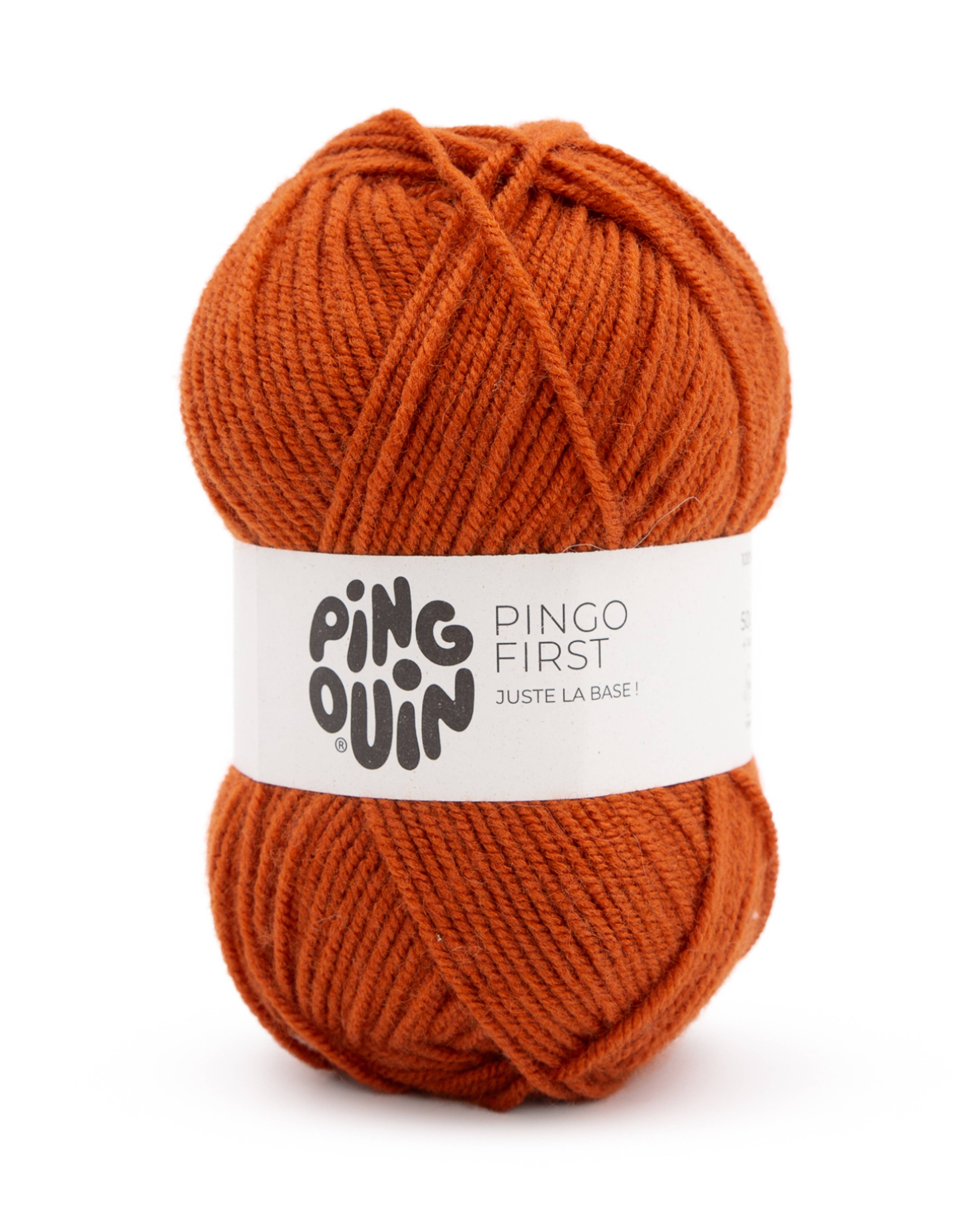 Pingo First