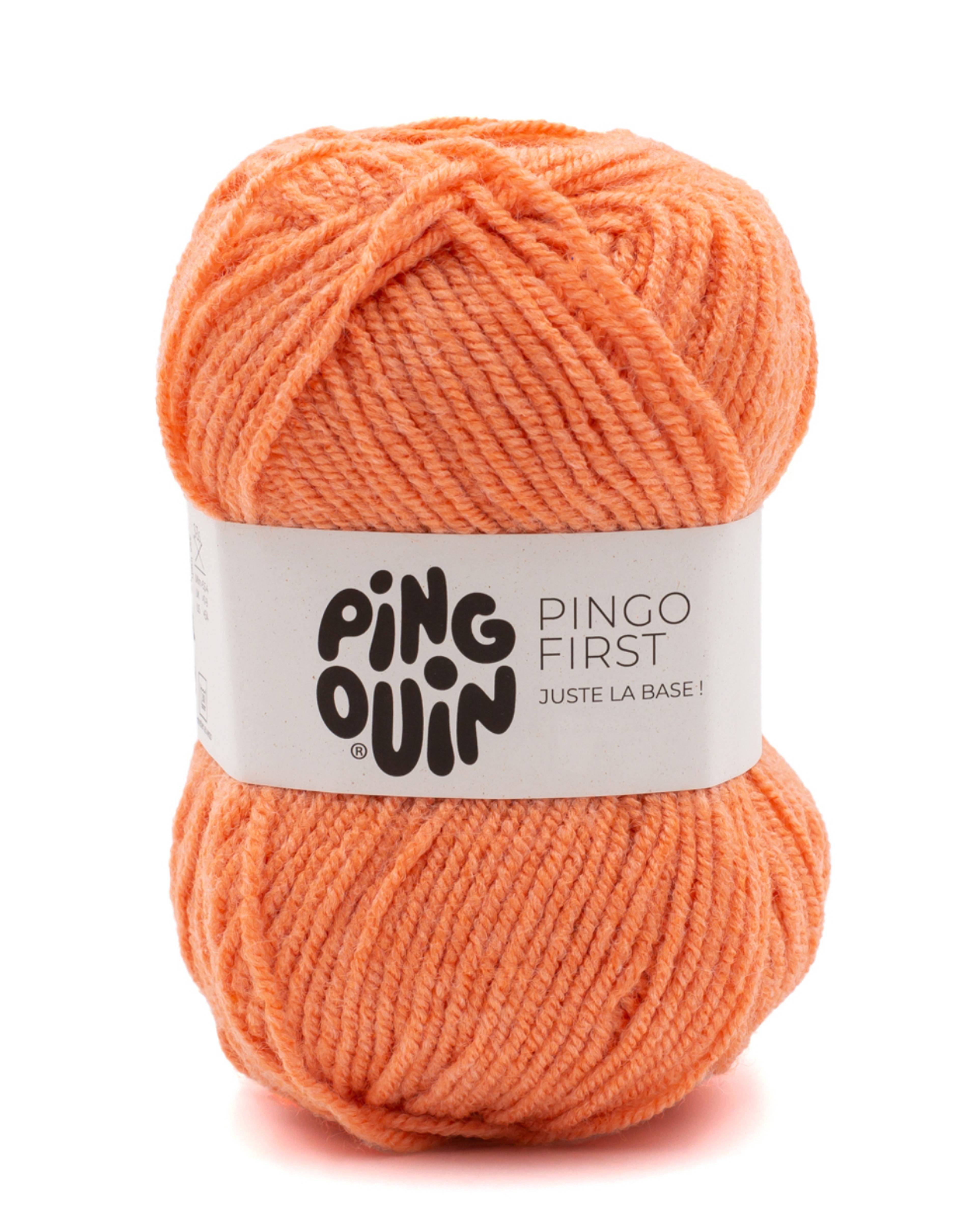 Pingo First
