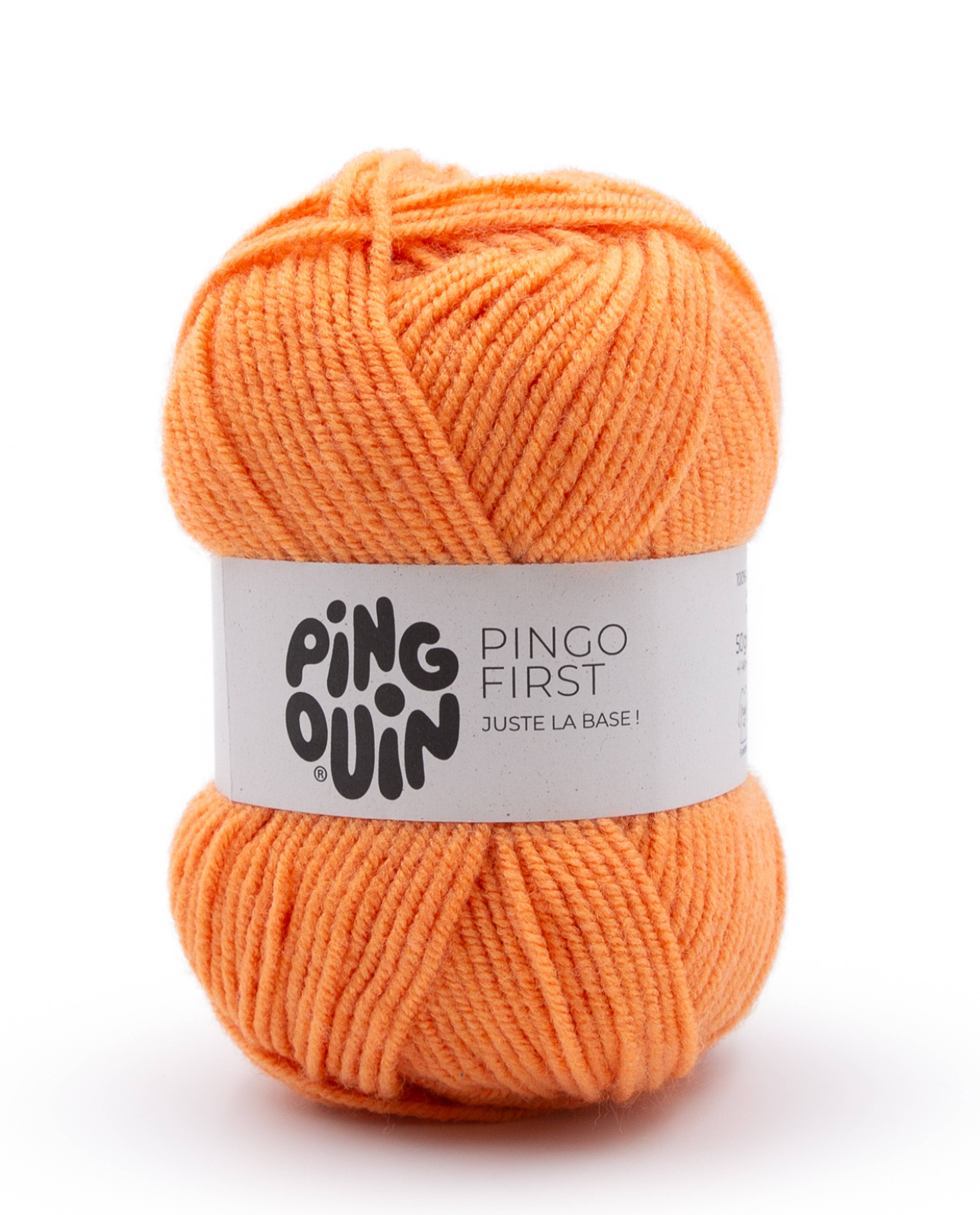 Pingo First