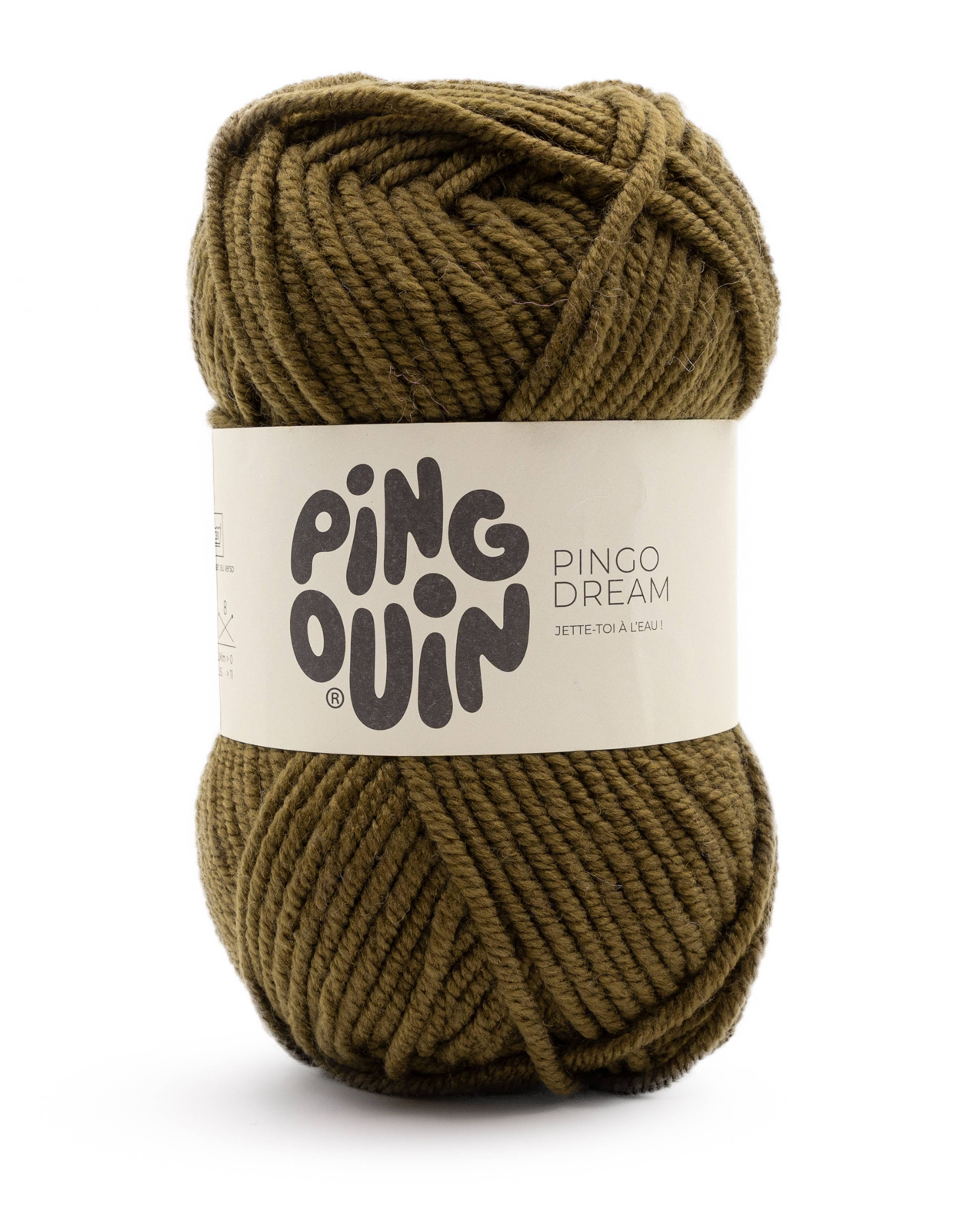 Pingo Dream
