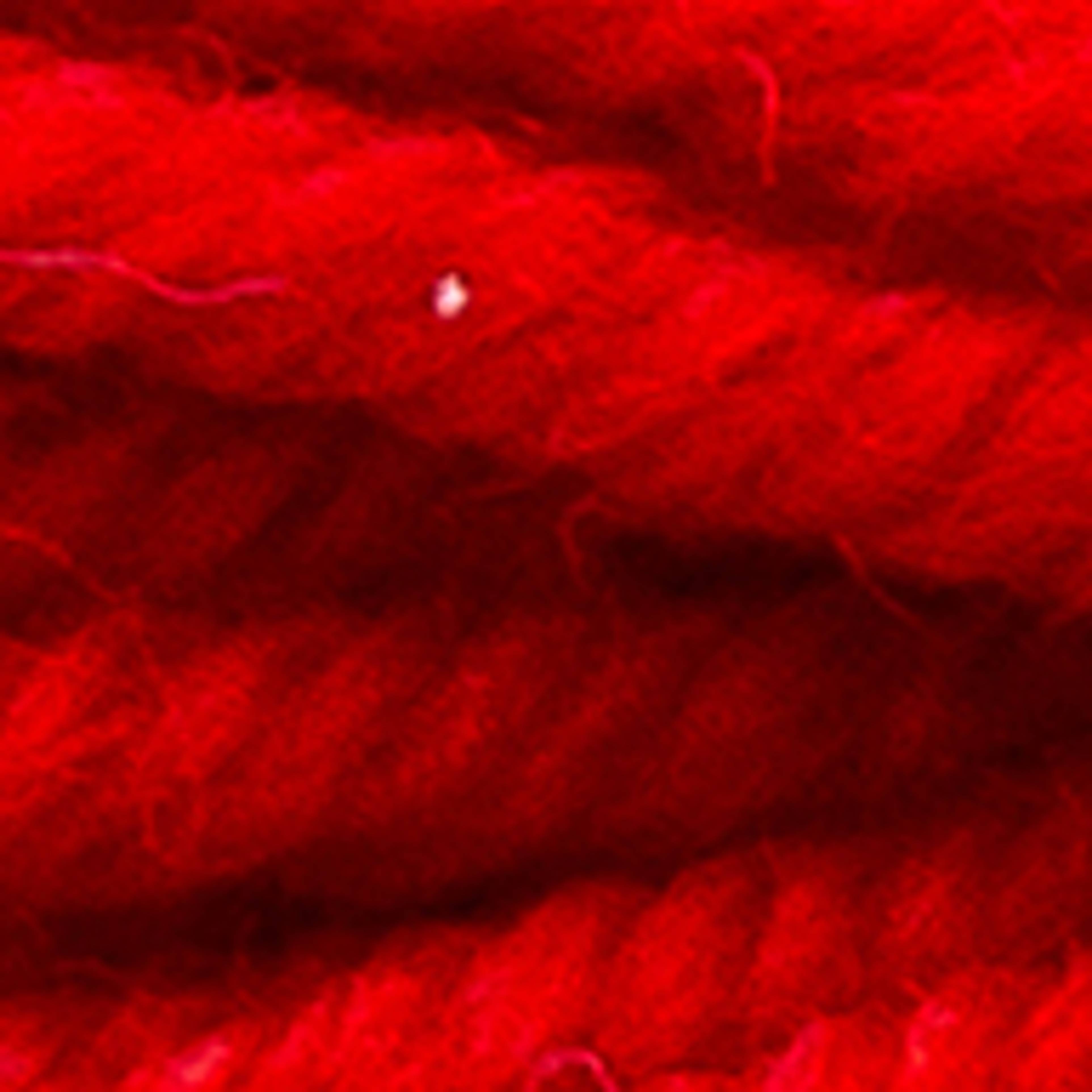 Variant thumbnail