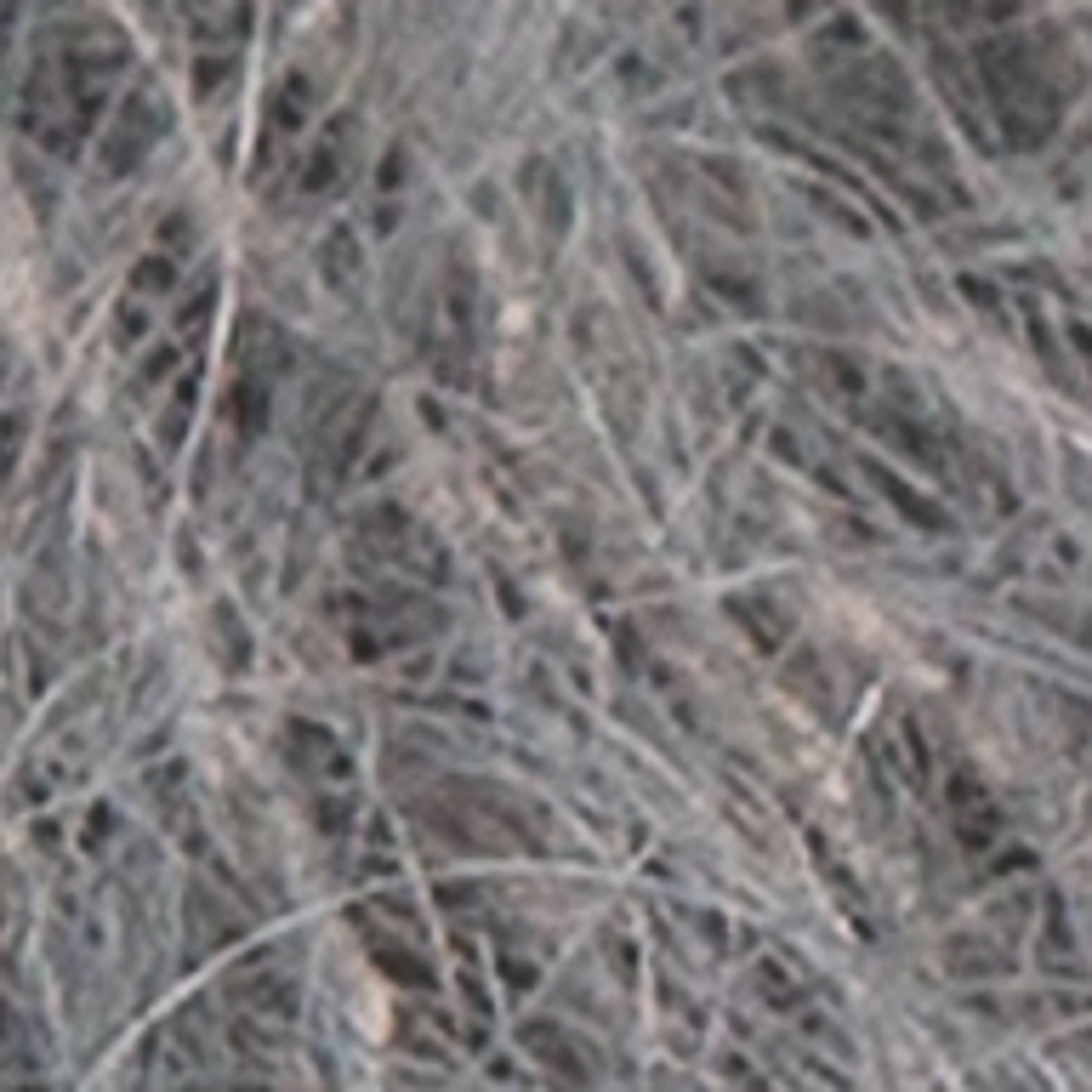 Variant thumbnail