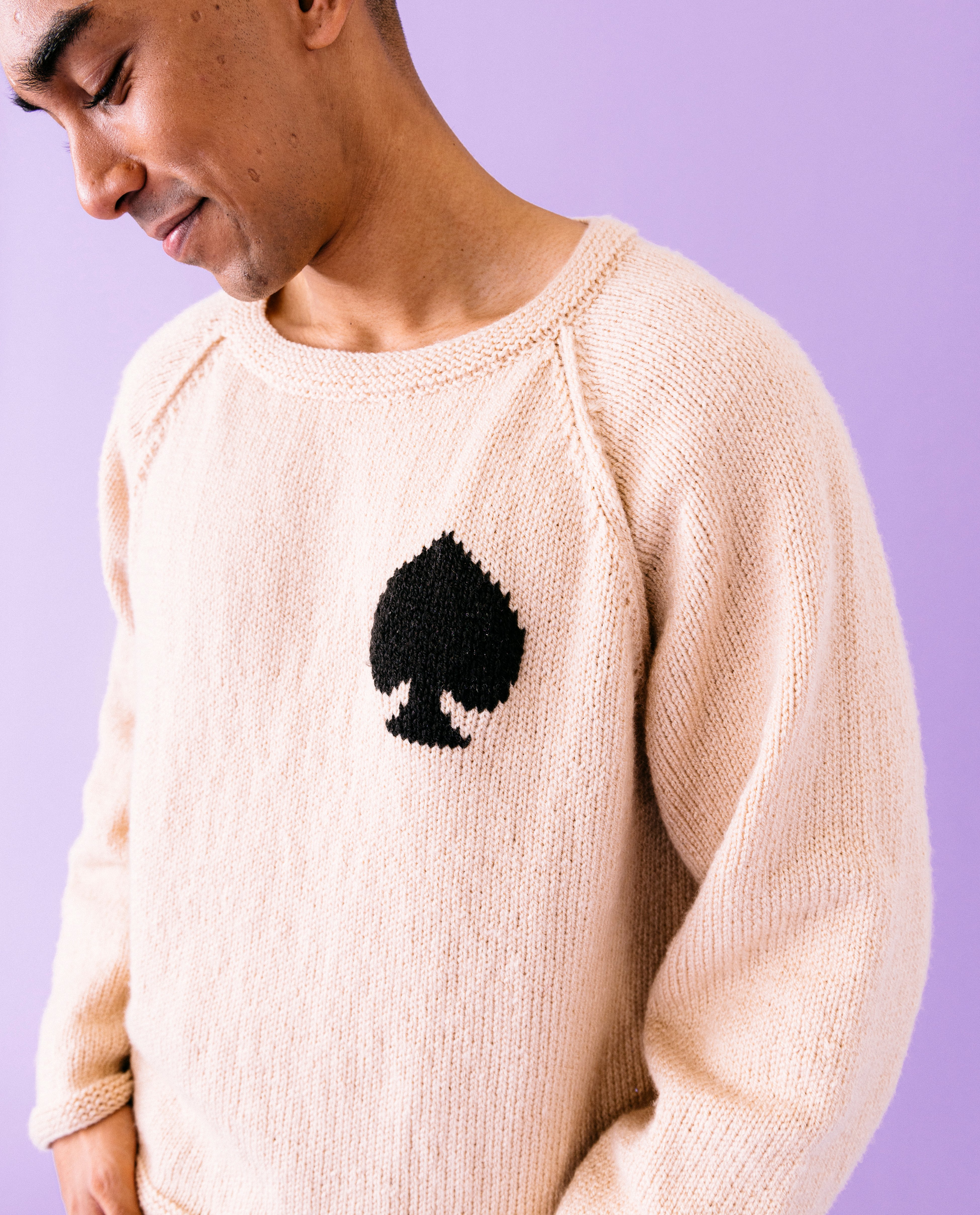 Modèle Pull Mixte Daisy