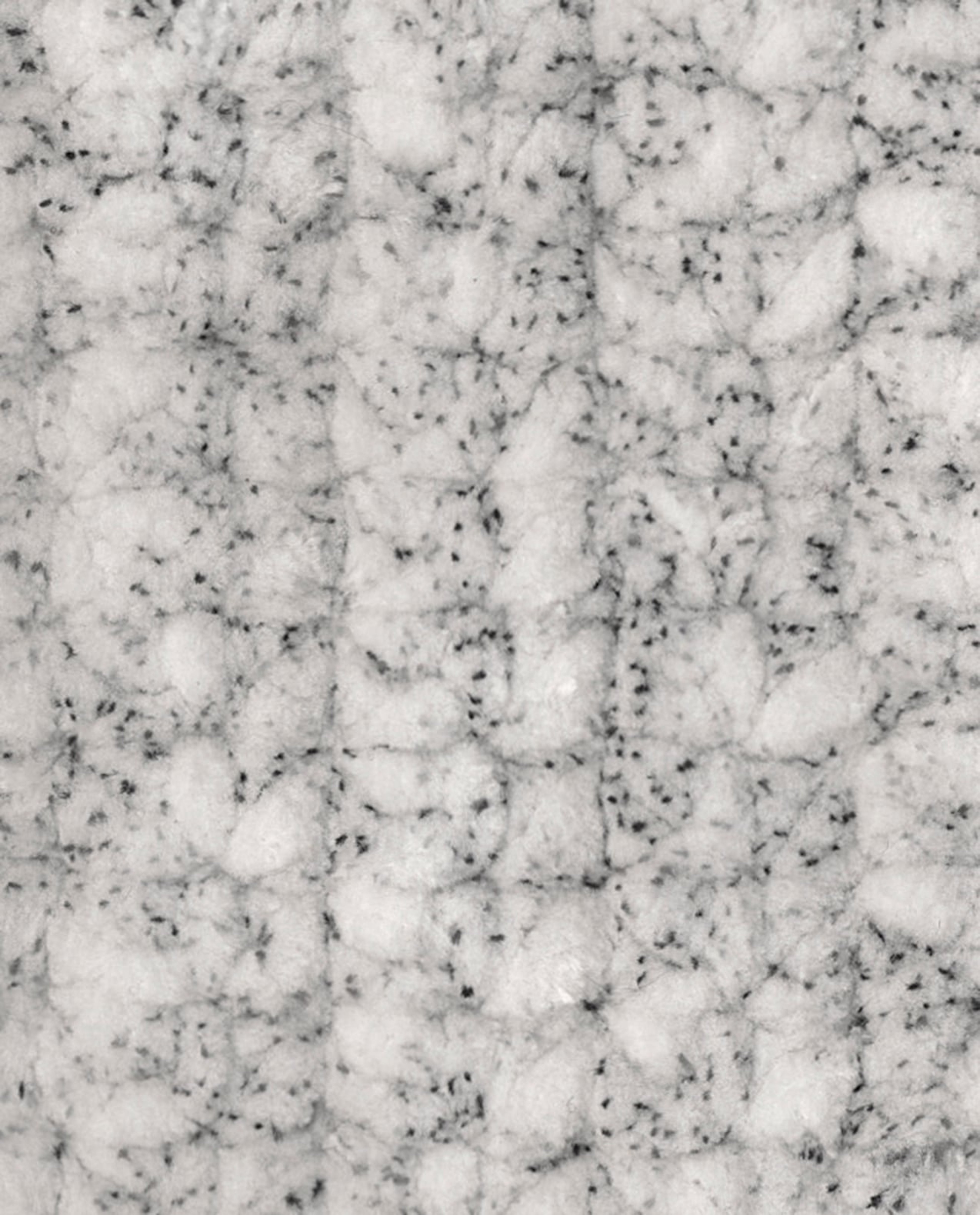 Pingo Chenille Imprimée